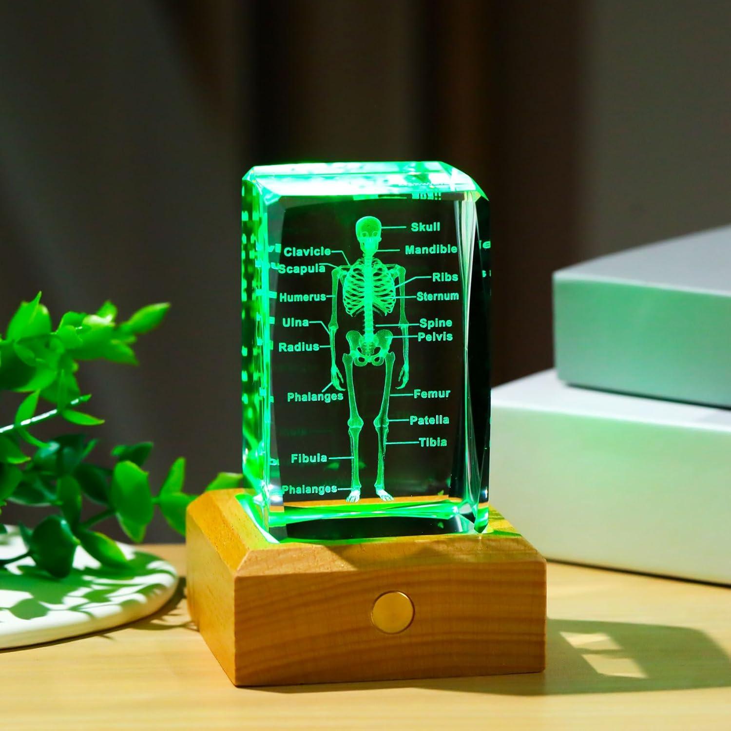 Modelo 3D de Esqueleto Humano en Cristal LED Arikyrist