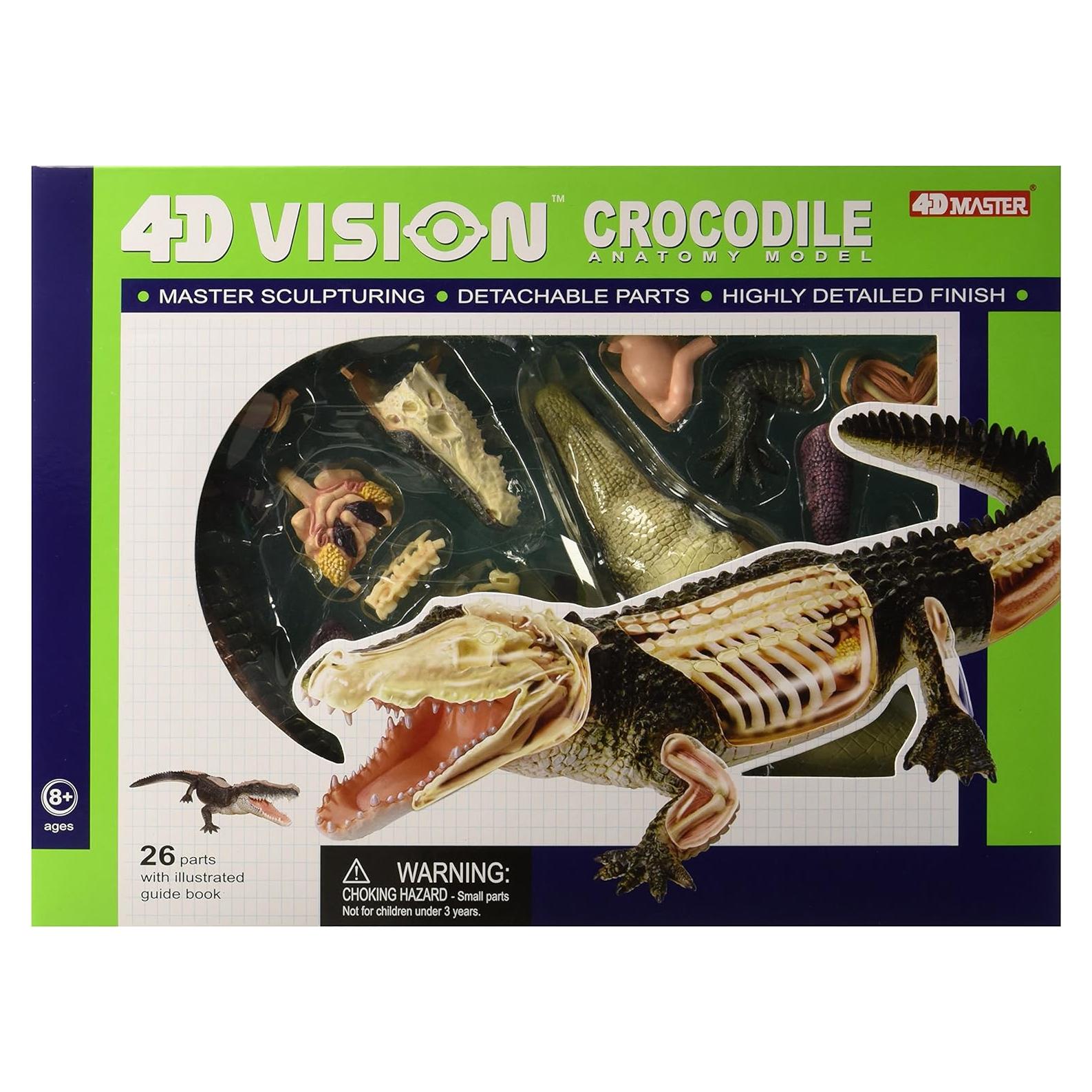 Modelo de Anatomía de Cocodrilo 4D John N. Hansen 26 Piezas