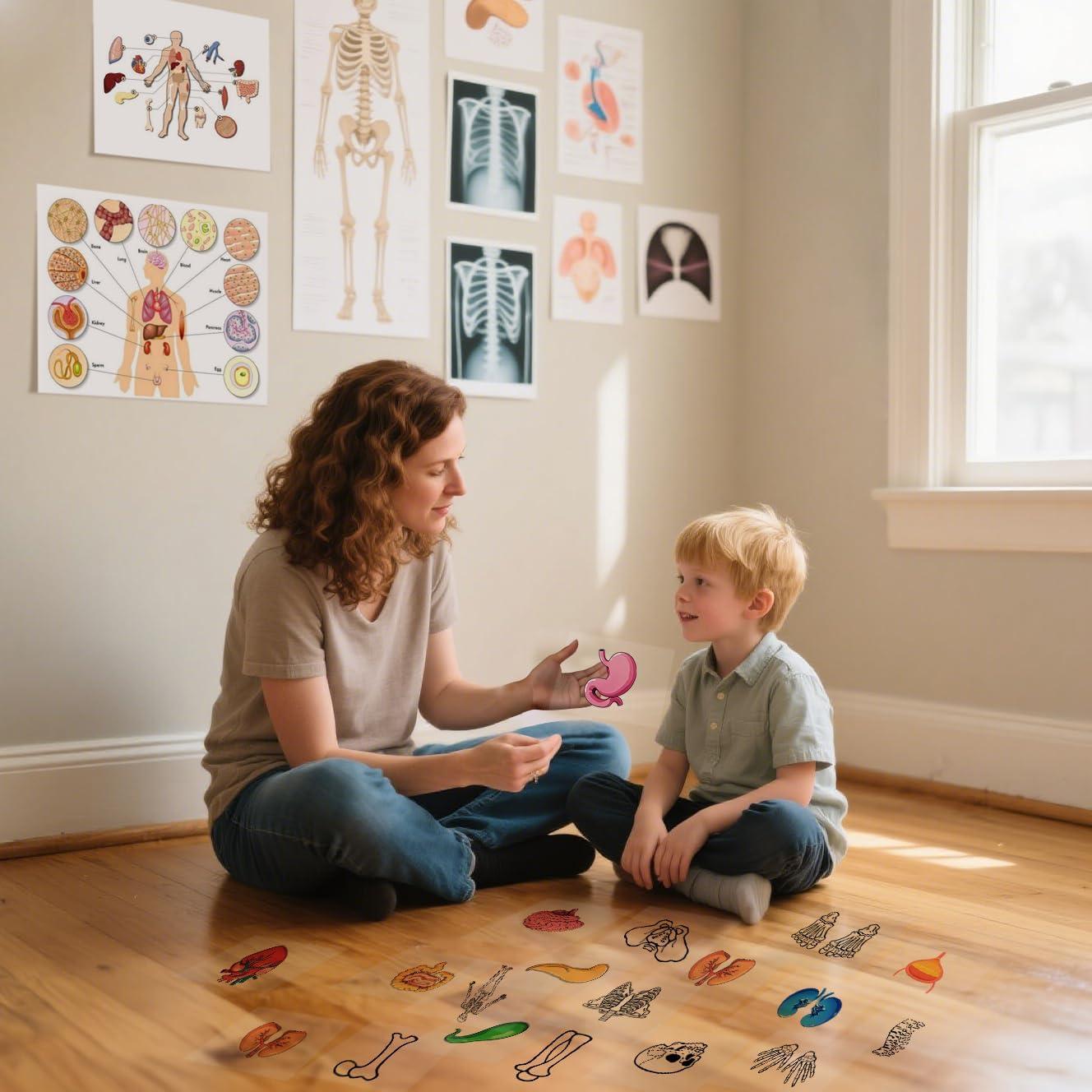 16 Tarjetas de Esqueleto Humano BAOGETONGLER 22.86x15.24cm