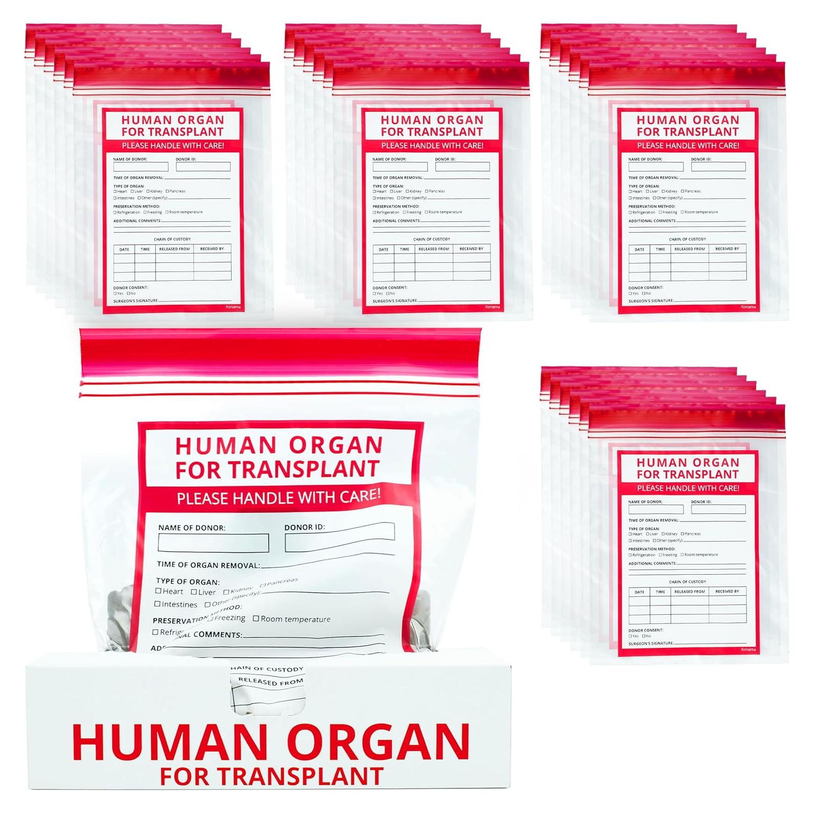 25 Bolsas Divertidas de Órganos Humanos Konama 23x18 cm