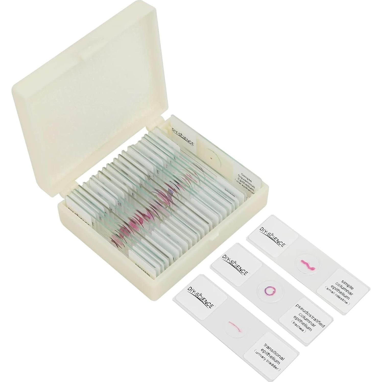 Conjunto de Diapositivas de Tejido de Mamíferos DIY-SCIENCE EDU