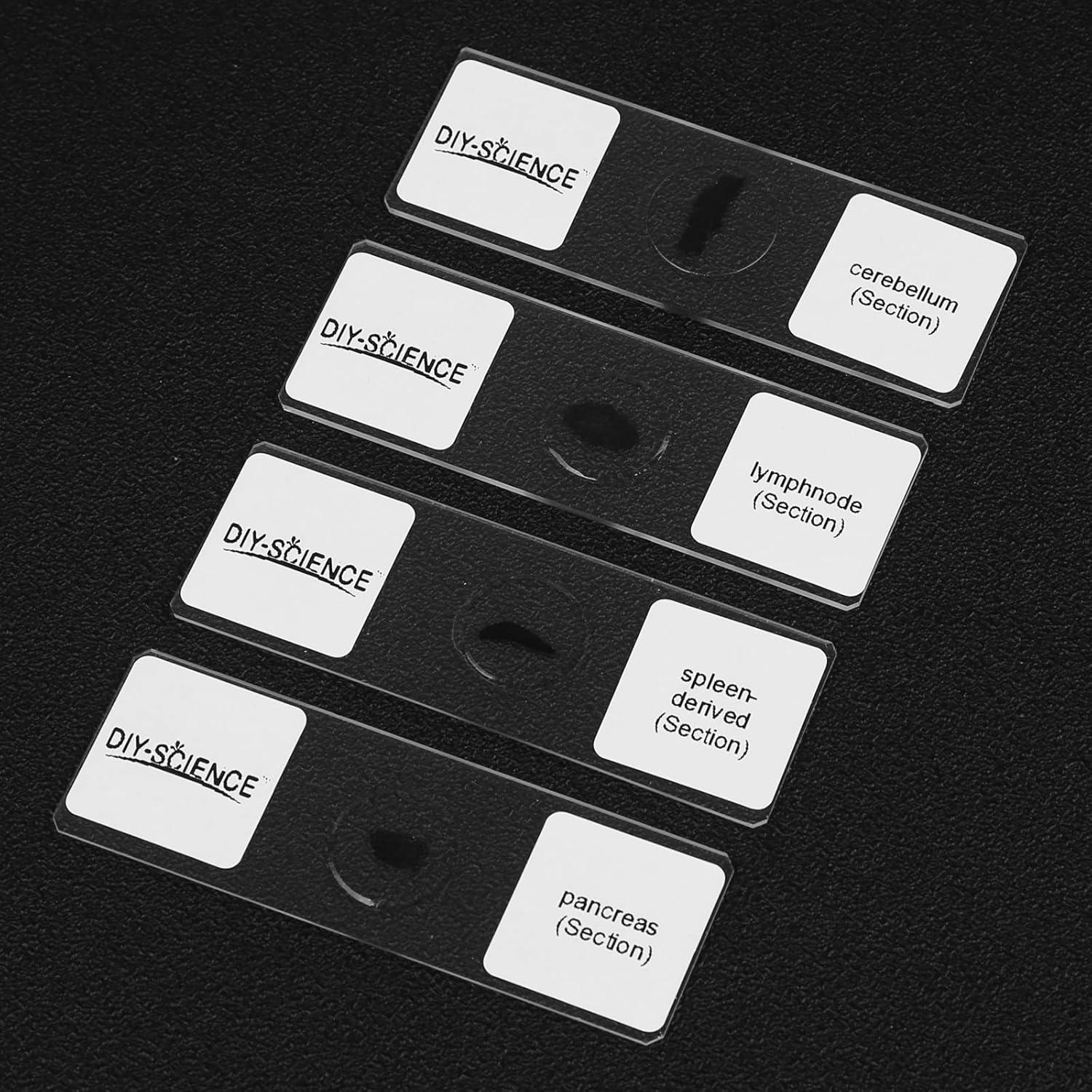 Conjunto de Diapositivas de Tejido de Mamíferos DIY-SCIENCE EDU