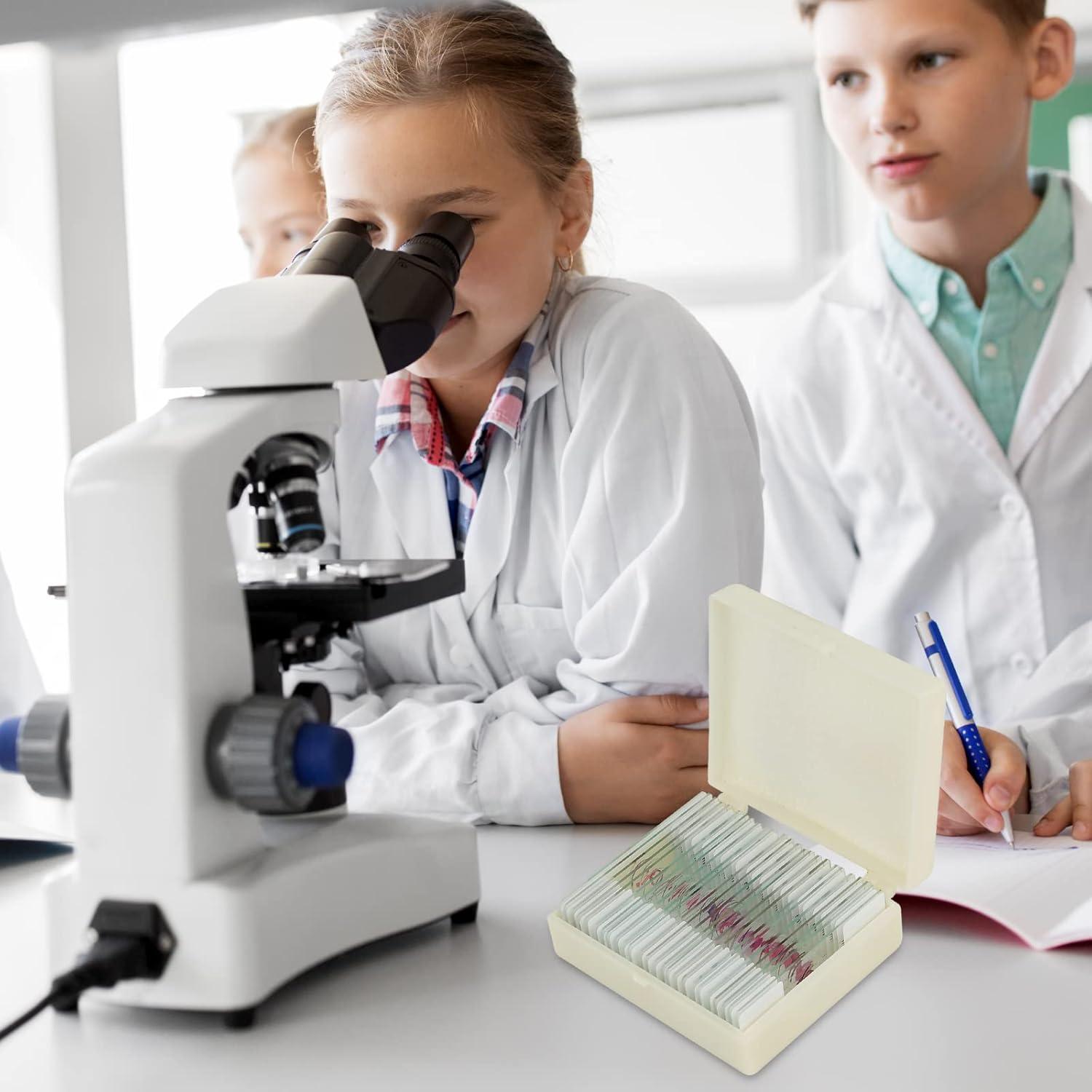 Conjunto de Diapositivas de Tejido de Mamíferos DIY-SCIENCE EDU