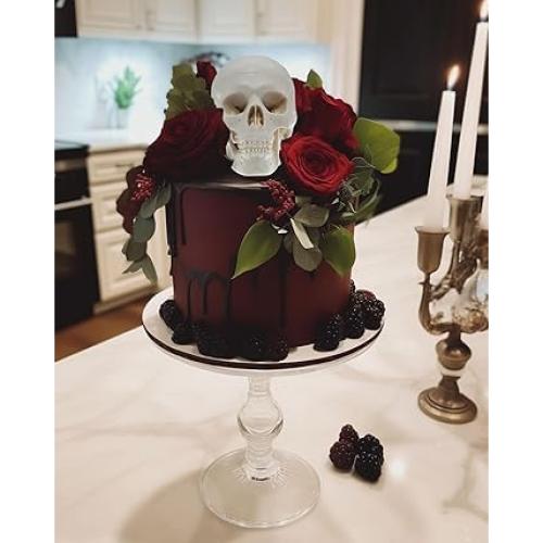 Modelo de Cráneo Mini ZDOTOM para Estudio y Dibujo - Anatomía