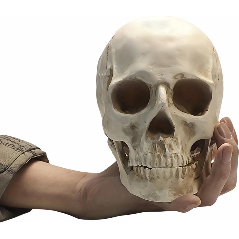 Calavera Humana 1:1 SOACH de Resina para Decoración Halloween