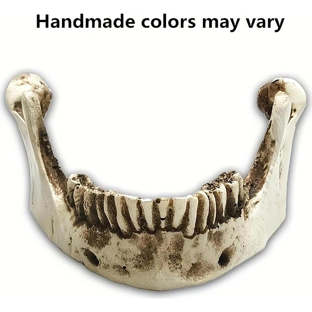 Calavera Humana 1:1 SOACH de Resina para Decoración Halloween