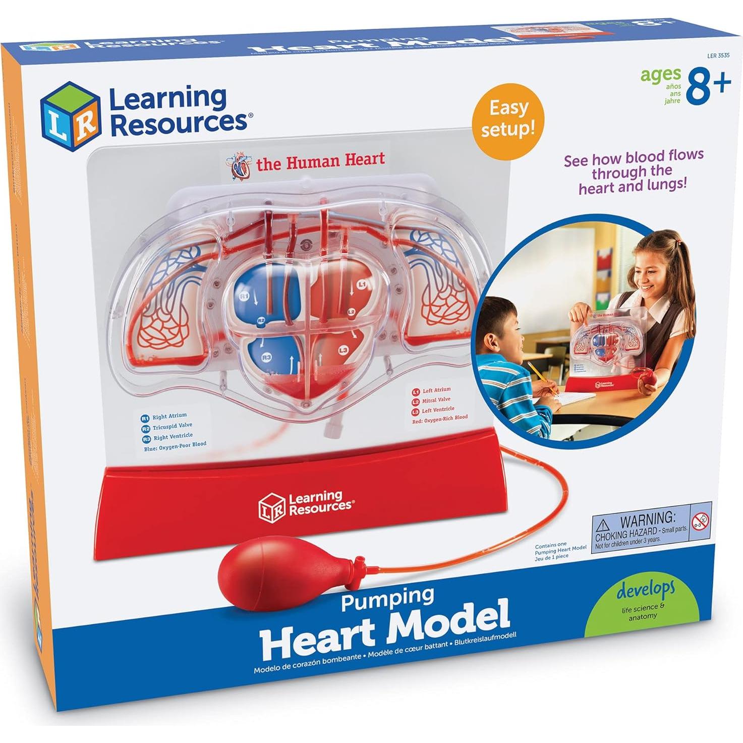 Modelo de Corazón Interactivo Learning Resources - 30.5cm
