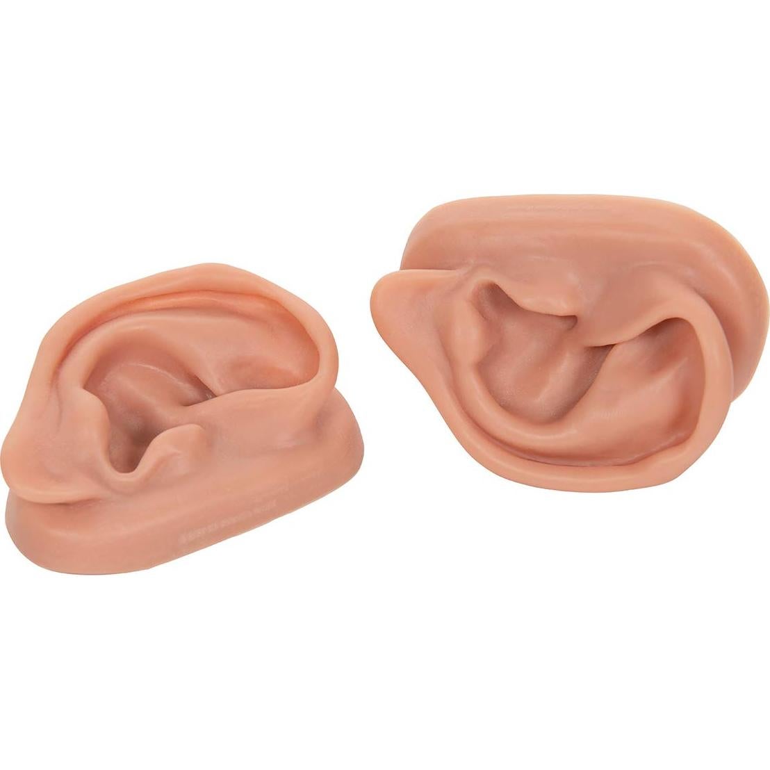 Modelo de Oídos de Acupuntura Silicona 3B Scientific N15