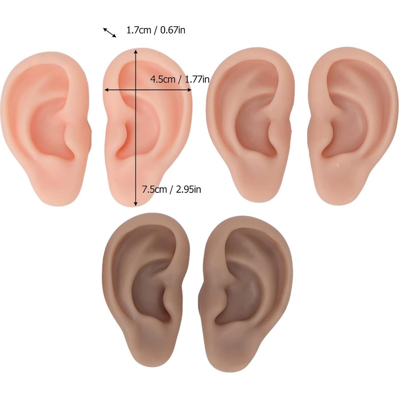 Modelo de Oreja de Silicona FILFEEL - 3 Pares para Práctica de Perforación
