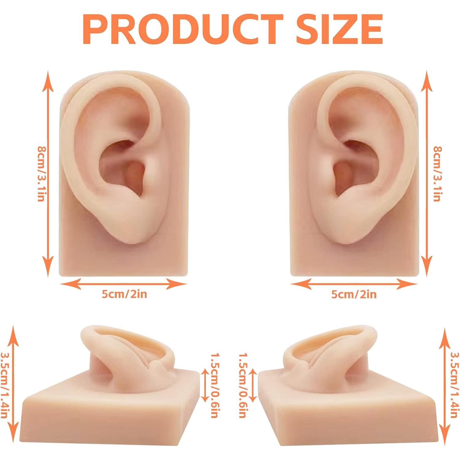 Modelo de Oreja de Silicona GSA - 2 Pcs para Perforación y Exhibición