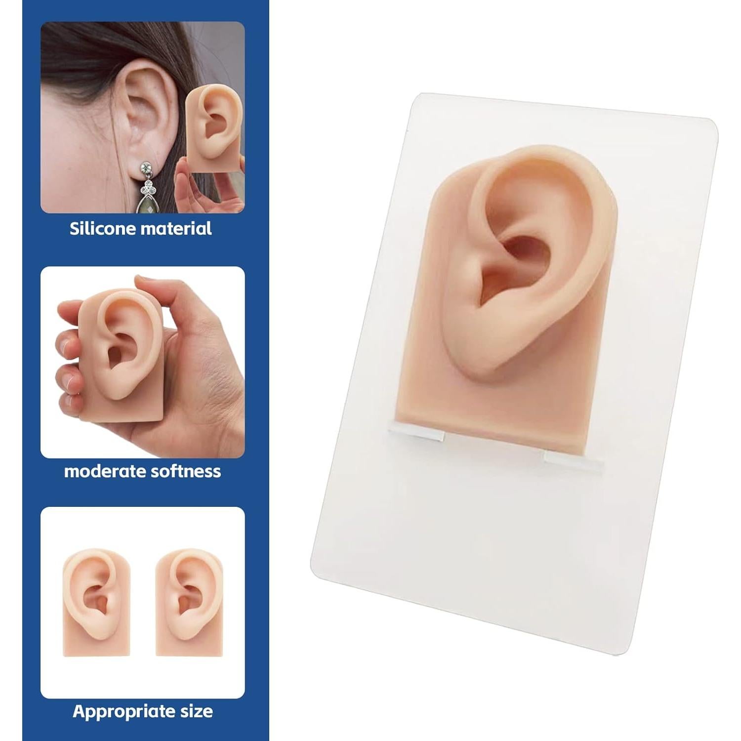 Modelo de Oreja de Silicona GSA - 2 Pcs para Perforación y Exhibición