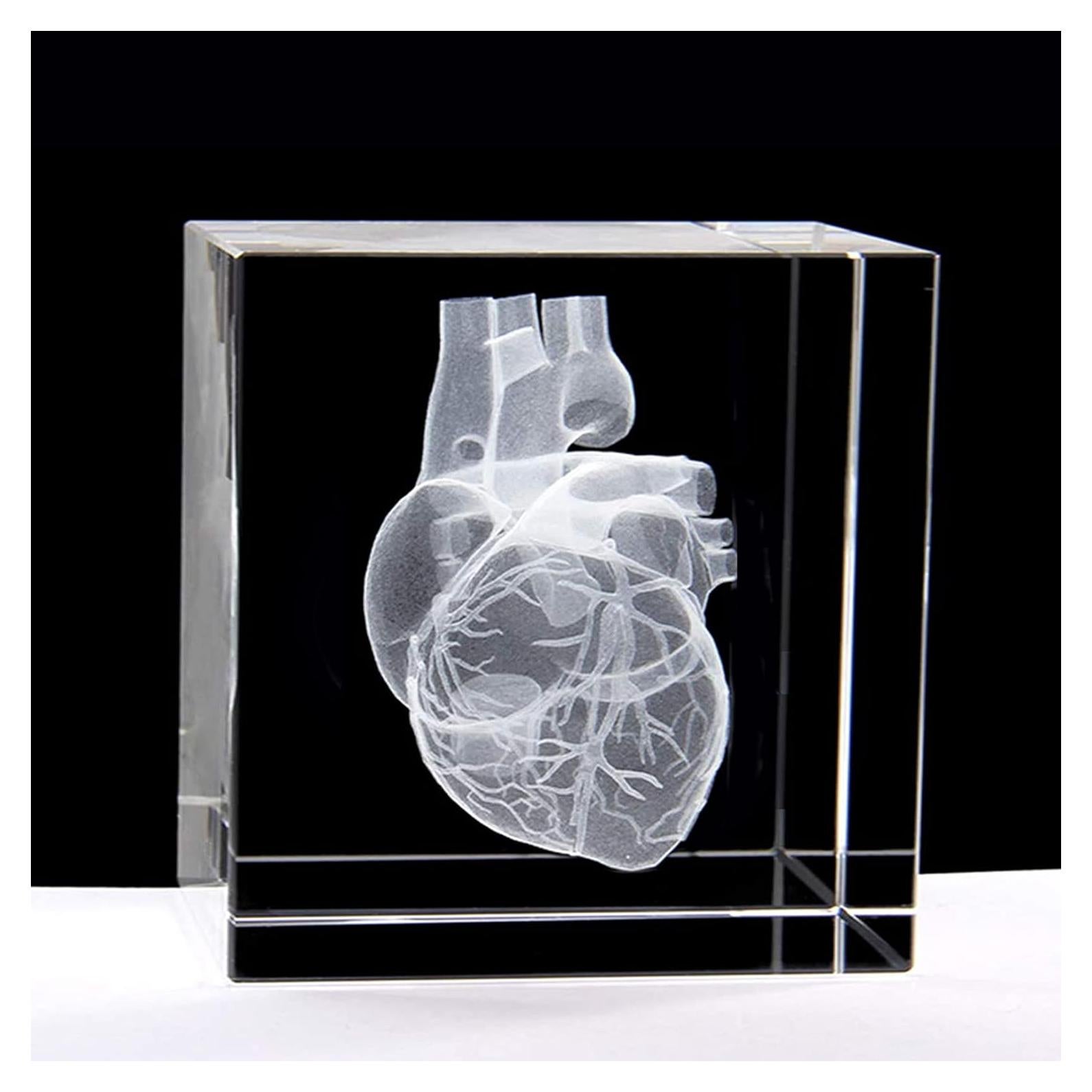 Sujetapapeles 3D Corazón Humano XINDAM en Cristal 5.8 cm