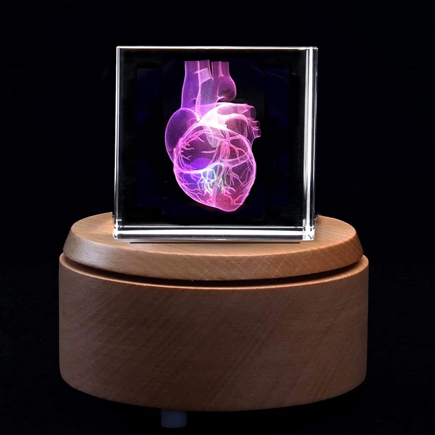 Sujetapapeles 3D Corazón Humano XINDAM en Cristal 5.8 cm