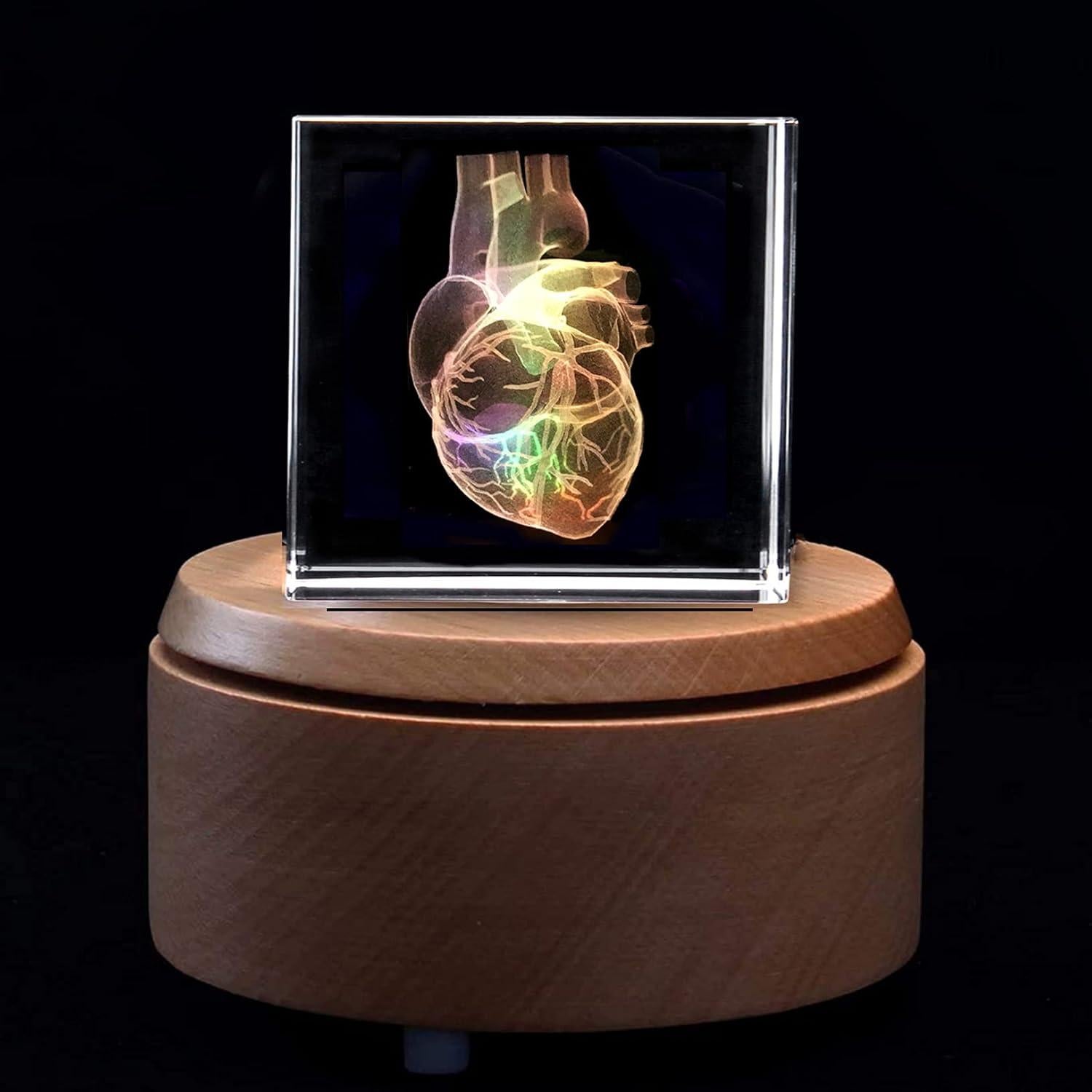 Sujetapapeles 3D Corazón Humano XINDAM en Cristal 5.8 cm