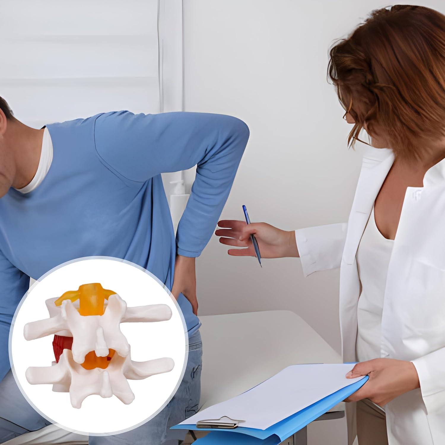 Modelo de Herniación de Disco Lumbar NLShan 1.5x Real