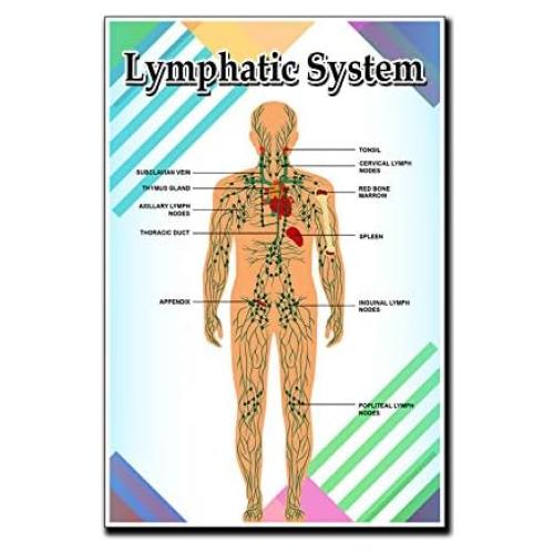 Póster Motivacional Educativo JMM Industries 45.72x30.48cm