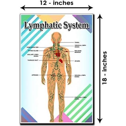Póster Motivacional Educativo JMM Industries 45.72x30.48cm