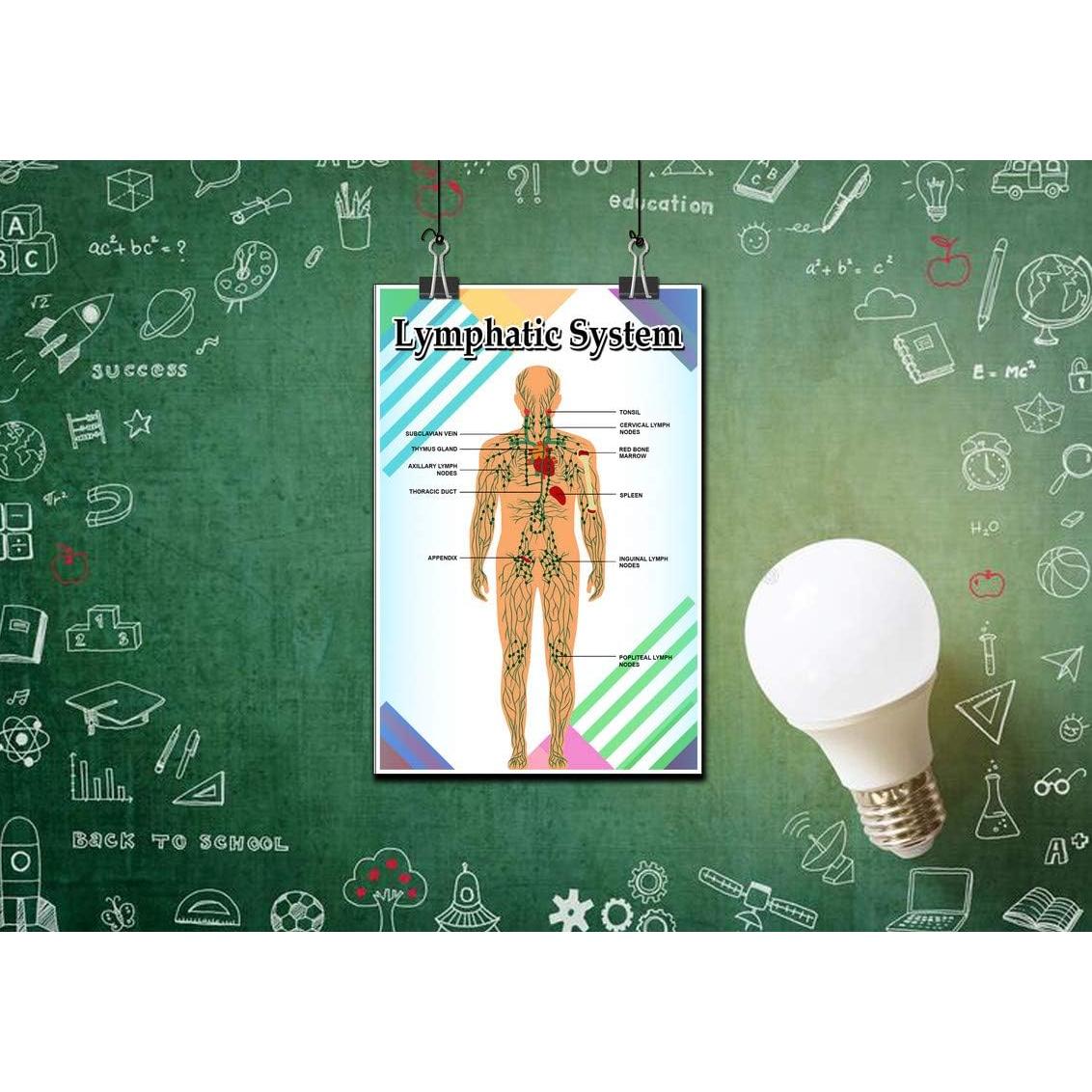 Póster Motivacional Educativo JMM Industries 45.72x30.48cm