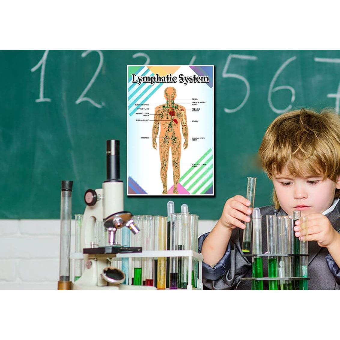 Póster Motivacional Educativo JMM Industries 45.72x30.48cm