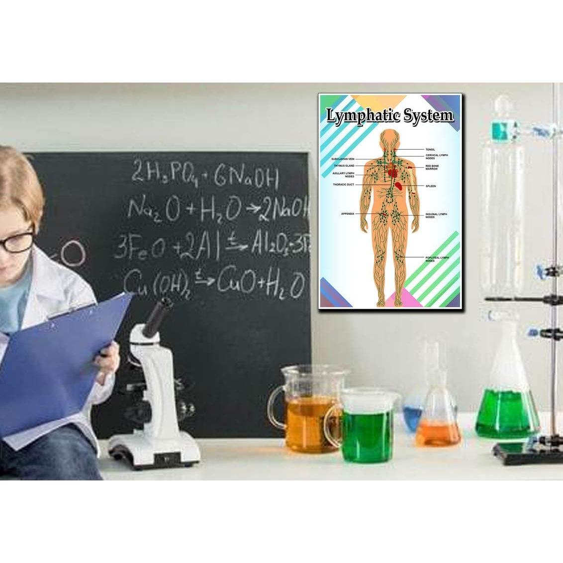 Póster Motivacional Educativo JMM Industries 45.72x30.48cm