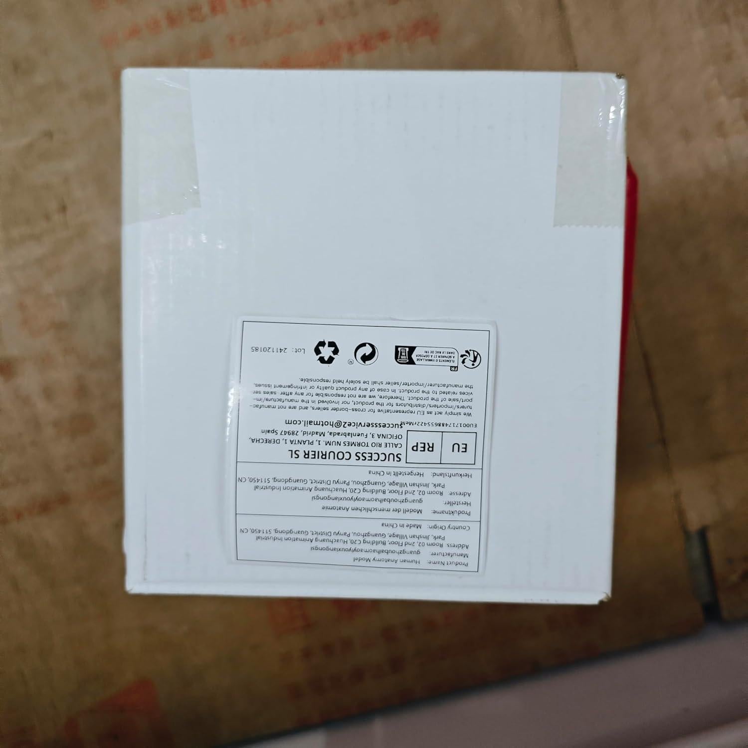 Modelo Anatómico de Corazón Humano en Cristal 3D Ultrassist