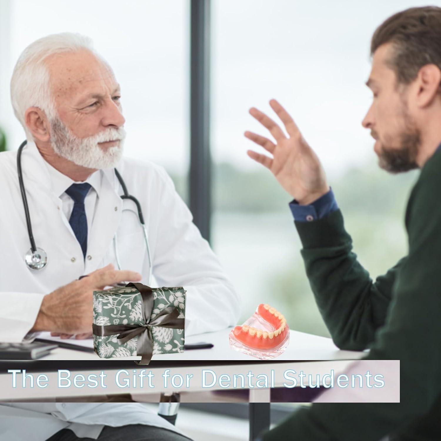 Modelo Dental Sobredentadura Desmontable Kouyot - Mandíbula Inferior