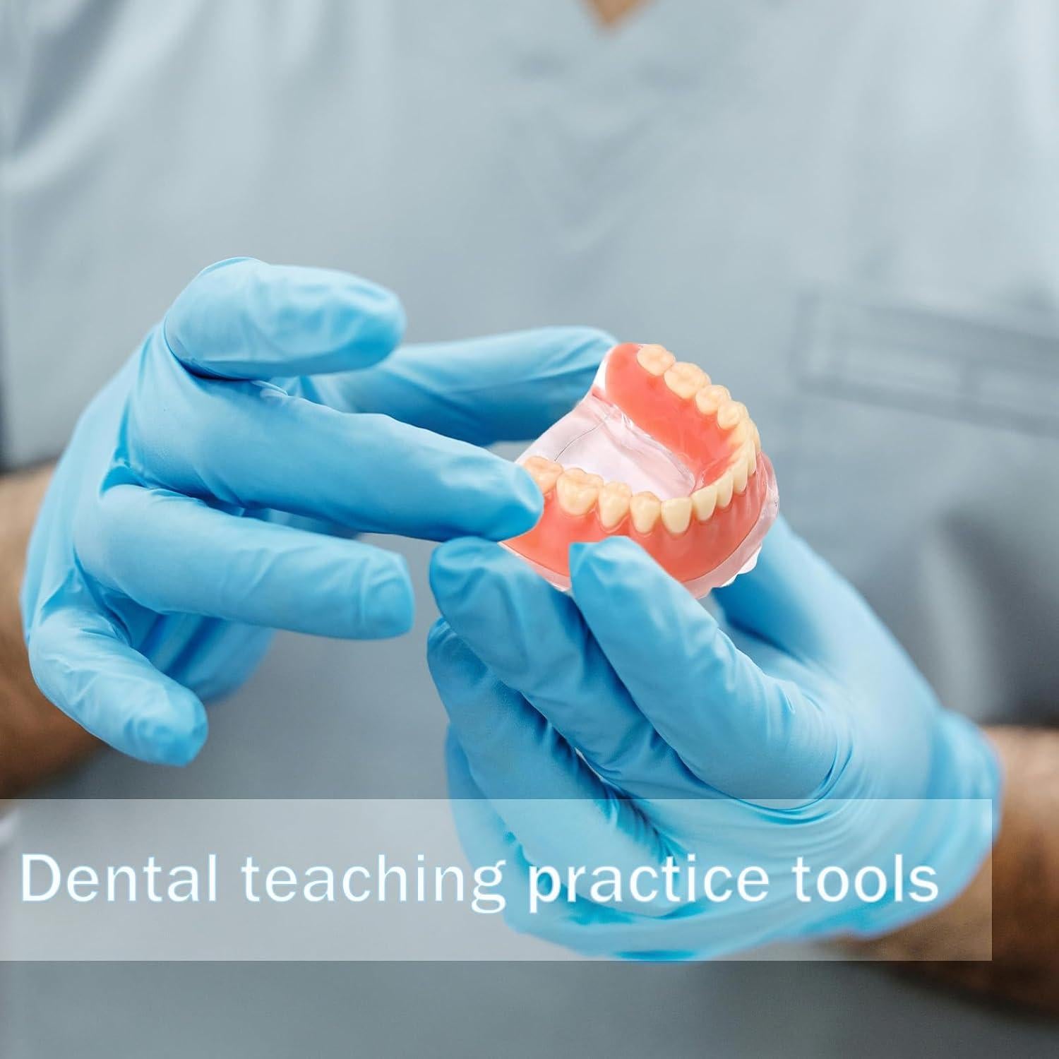 Modelo Dental Sobredentadura Desmontable Kouyot - Mandíbula Inferior