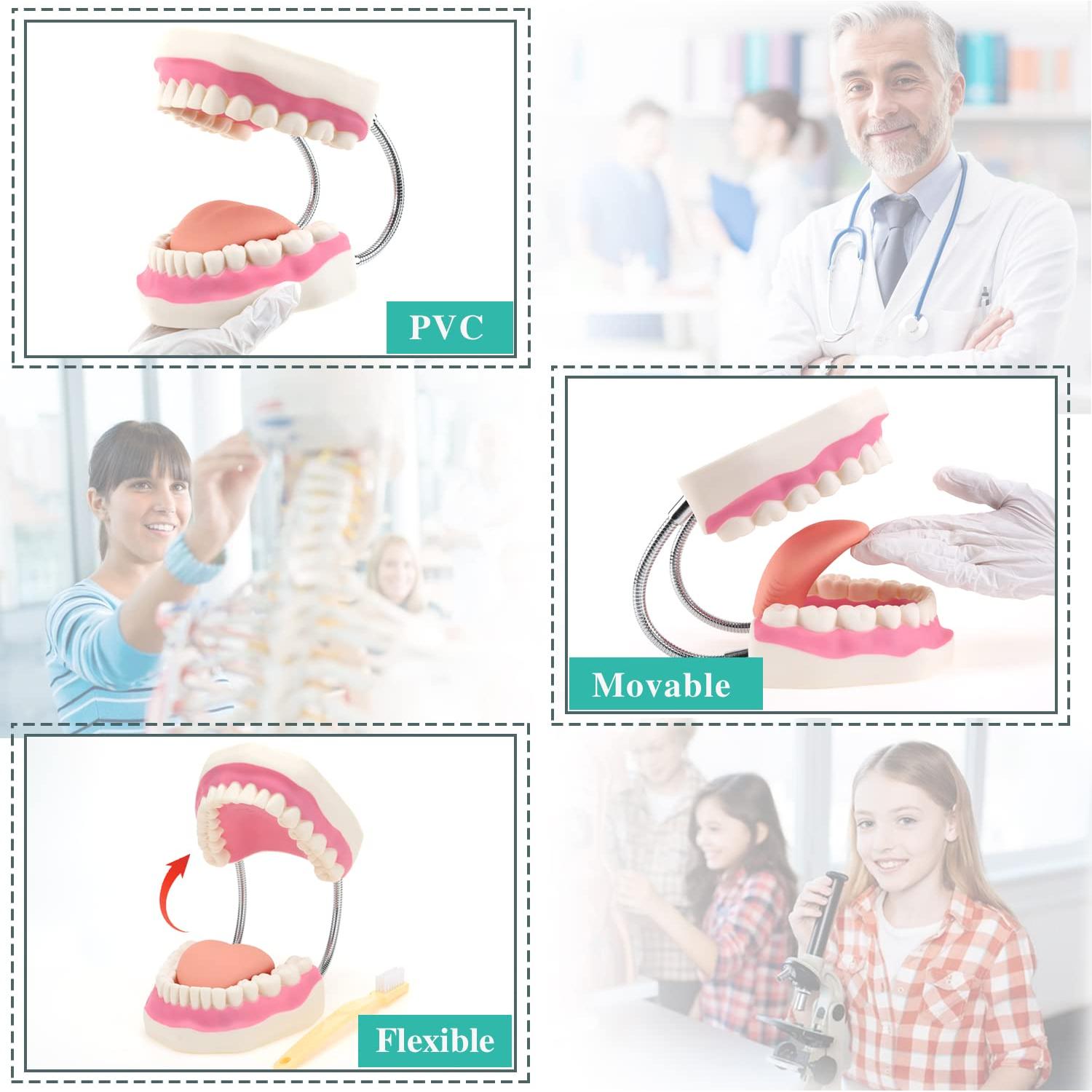 Modelo de Boca RONTEN para Cuidado Dental y Terapia del Habla