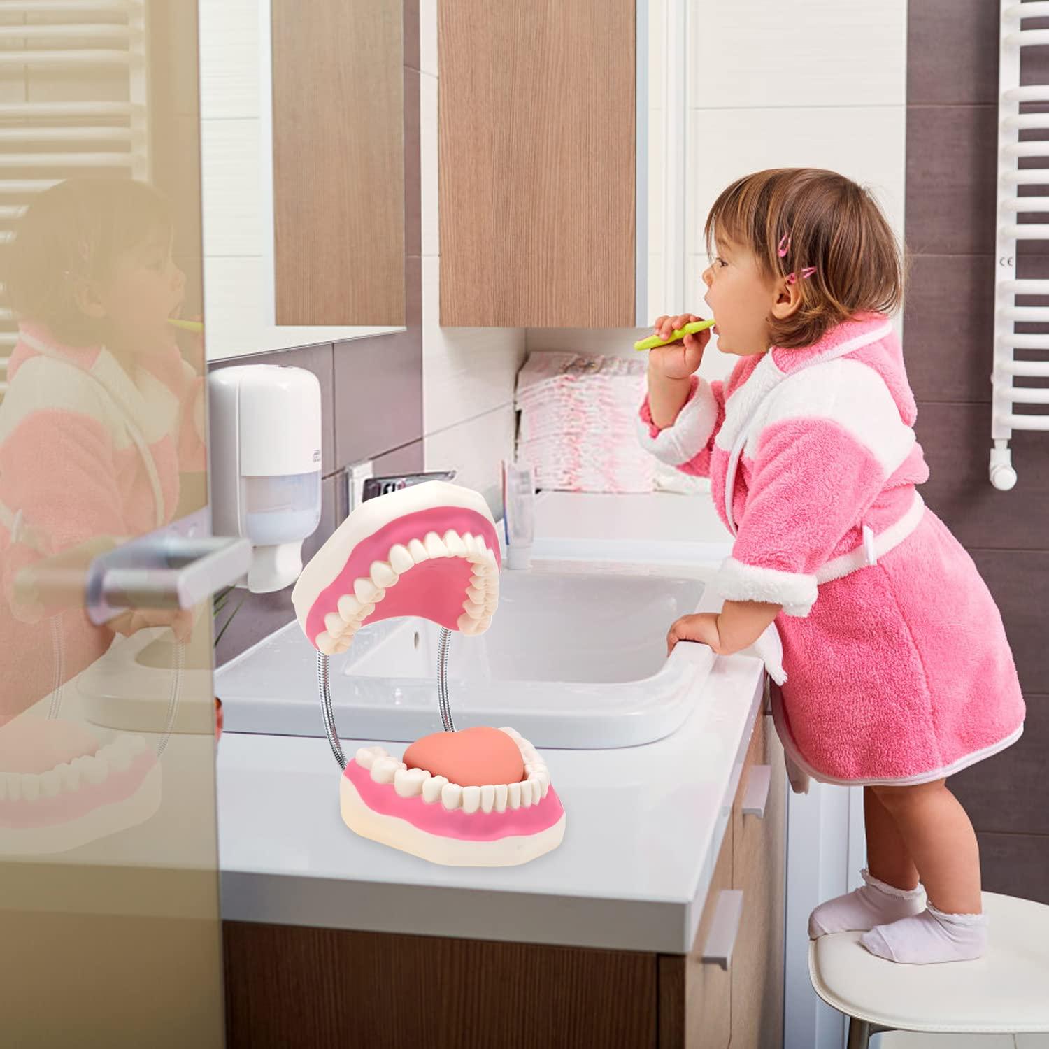 Modelo de Boca RONTEN para Cuidado Dental y Terapia del Habla