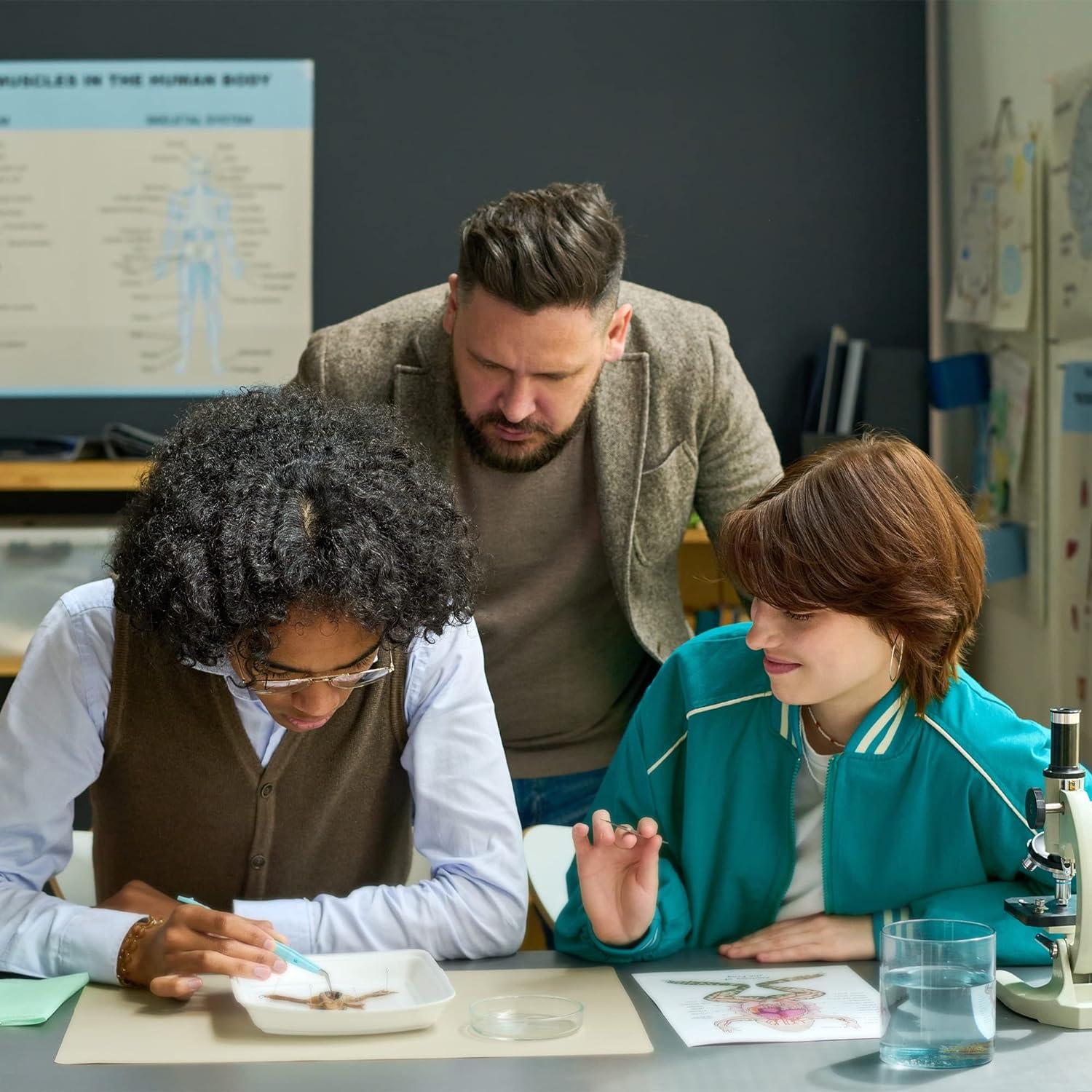 Set de 3 Pósteres Anatomía Canina Laminados 43.9x57.2cm