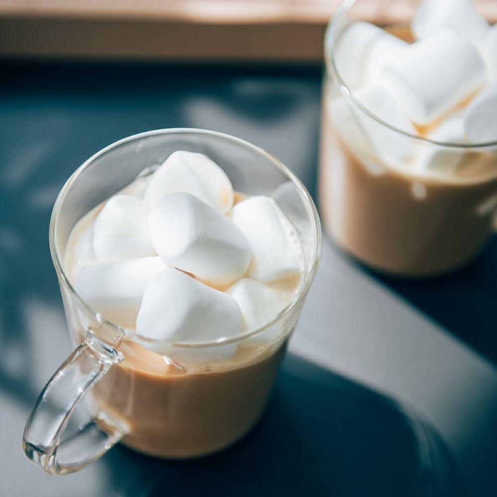 Juego de Tazas de Vidrio Hario Recto 300ml 2pcs