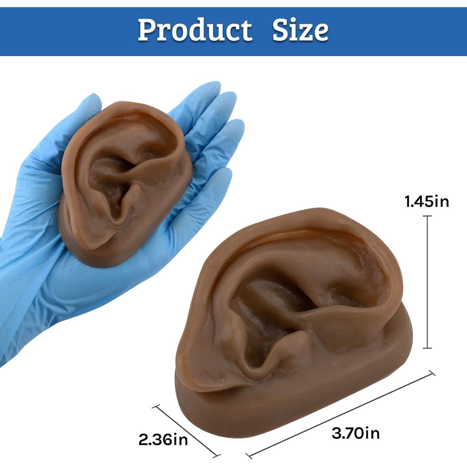 Modelo de Oído de Silicona SimCoach para Acupuntura y Piercing