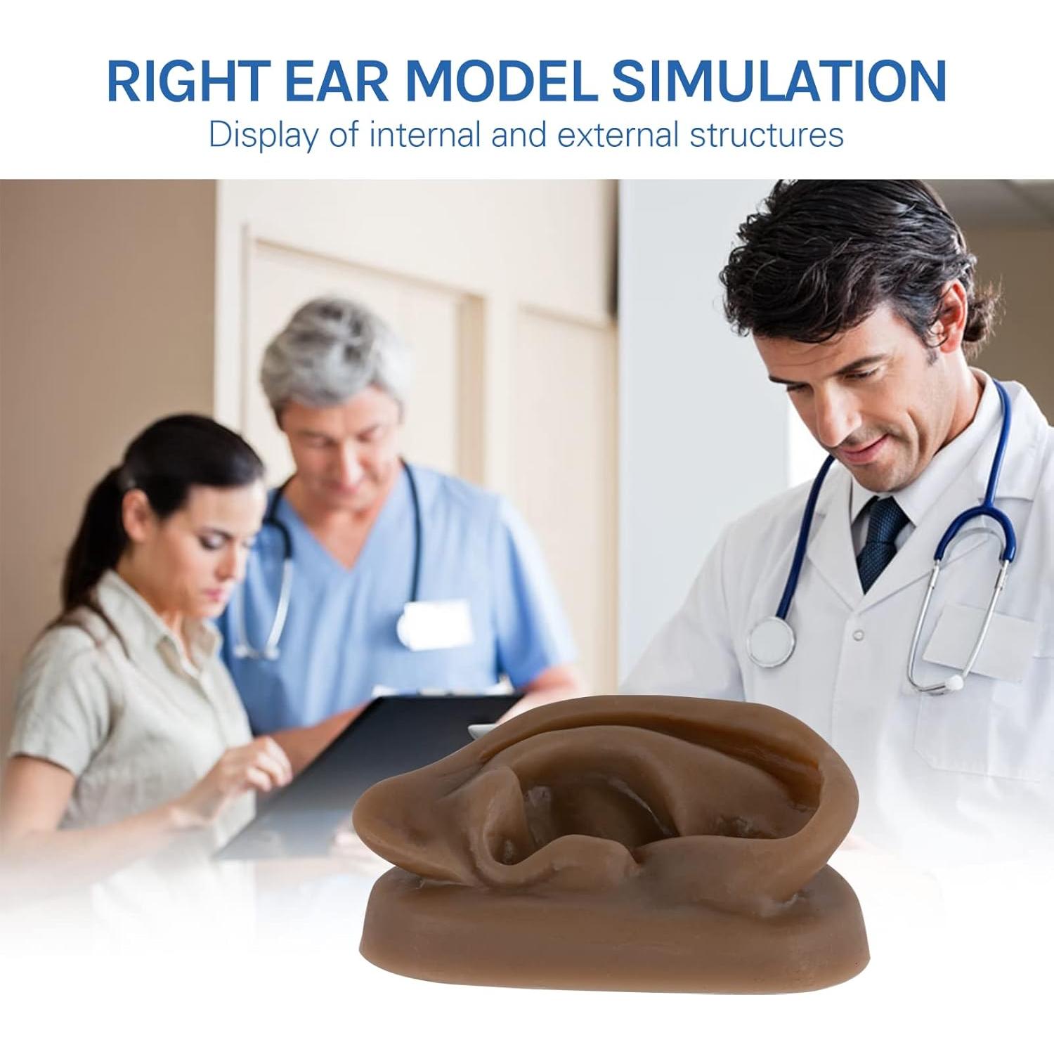 Modelo de Oído de Silicona SimCoach para Acupuntura y Piercing