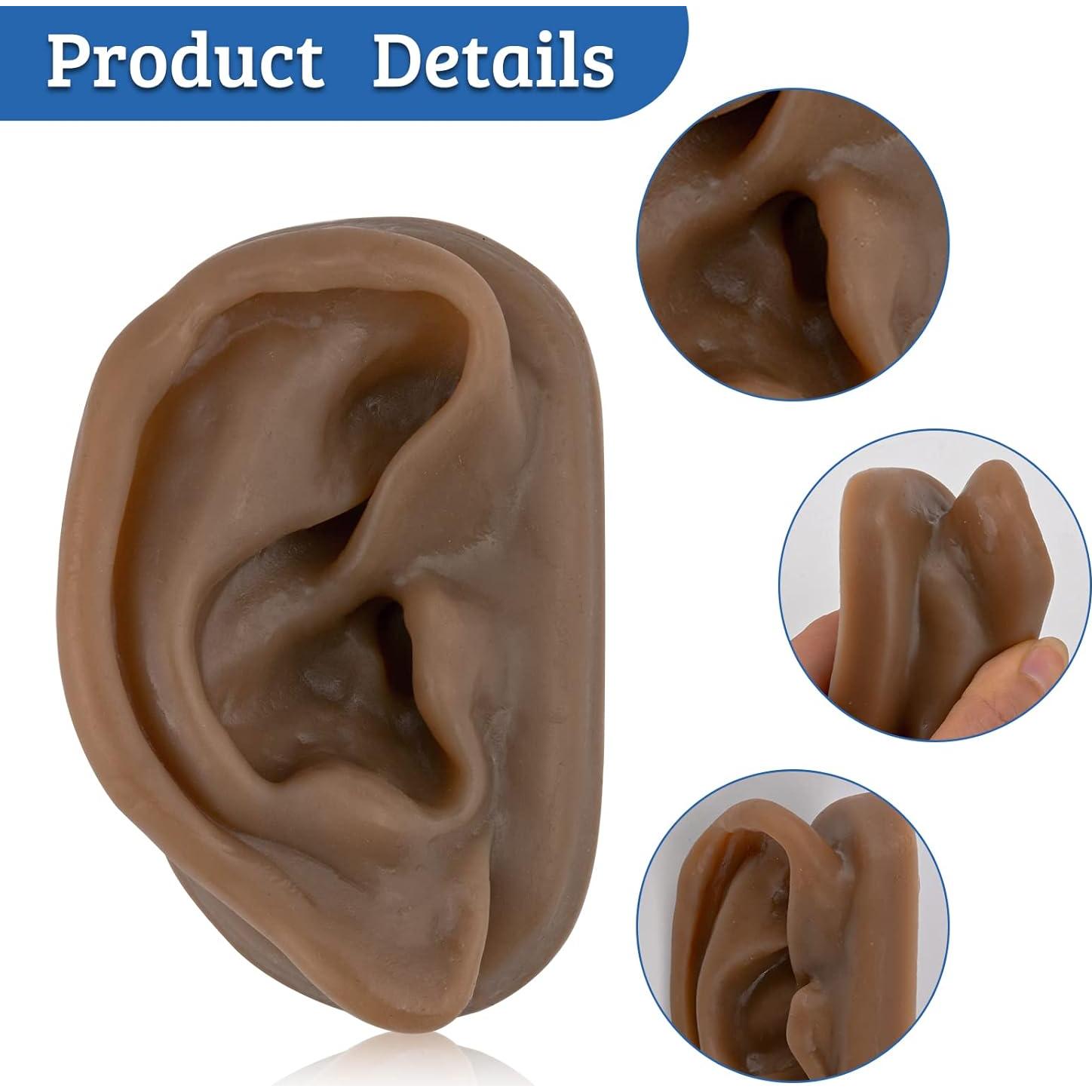 Modelo de Oído de Silicona SimCoach para Acupuntura y Piercing