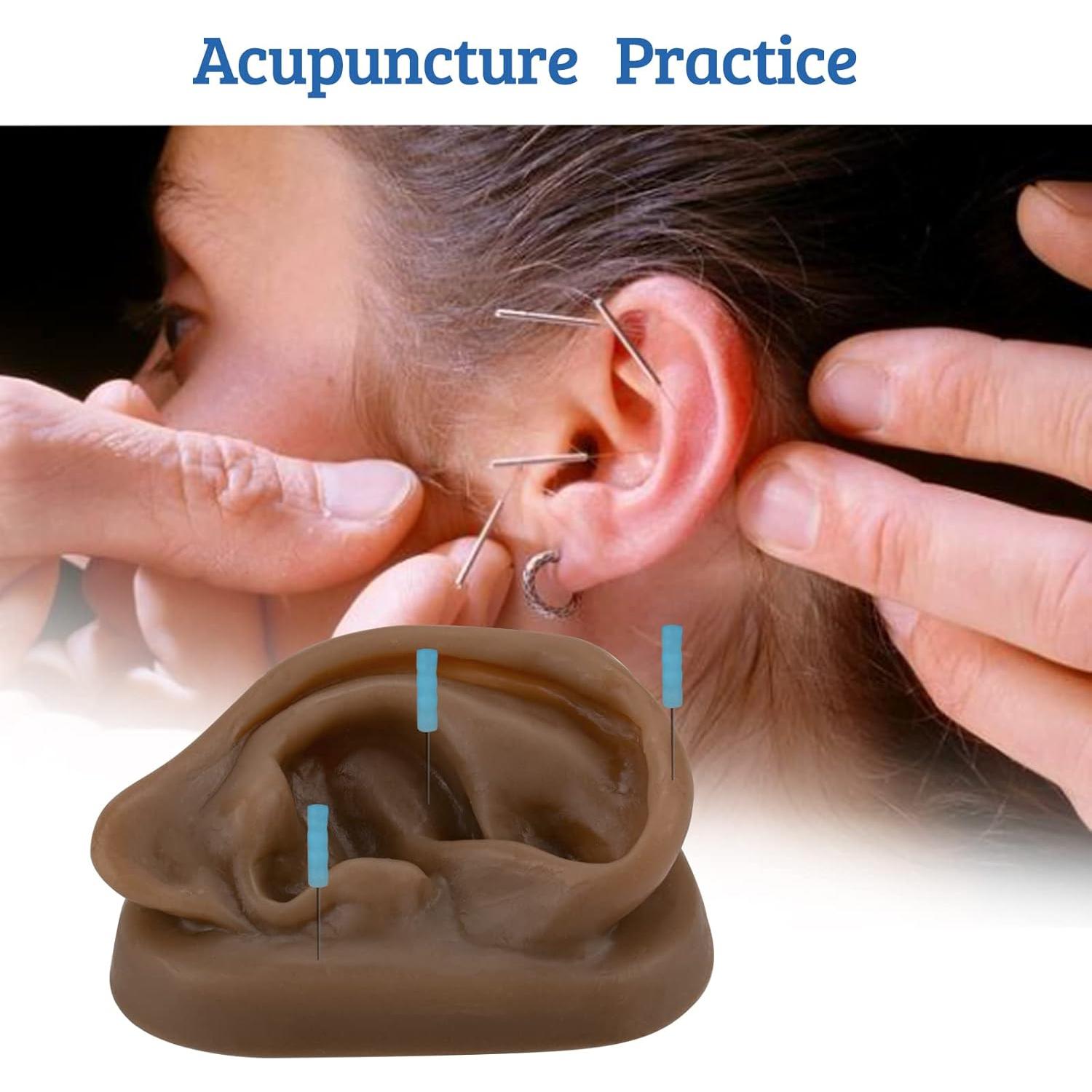 Modelo de Oído de Silicona SimCoach para Acupuntura y Piercing