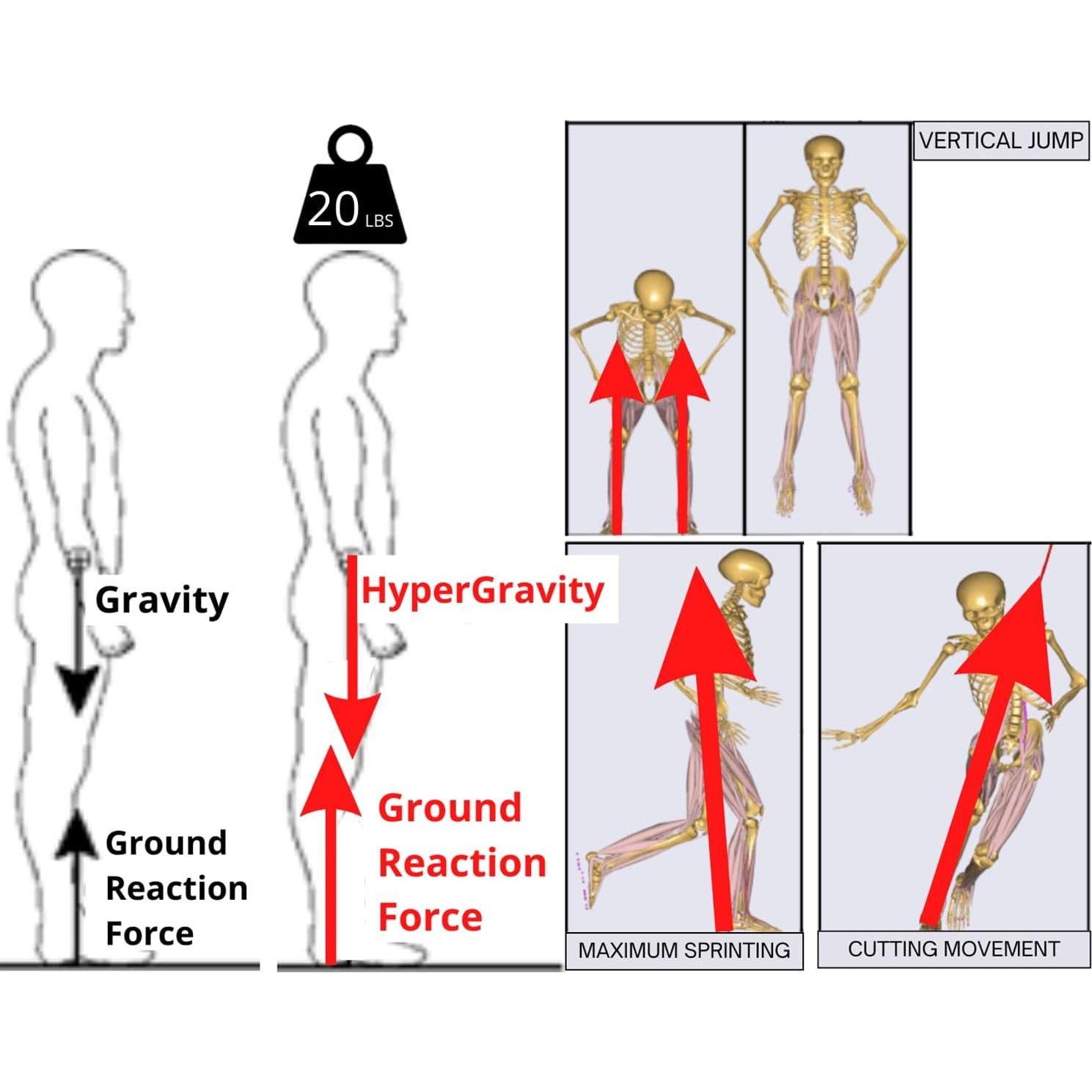 Chaleco con Peso Ajustable SPARTAN SHADOW 9.07 kg Negro