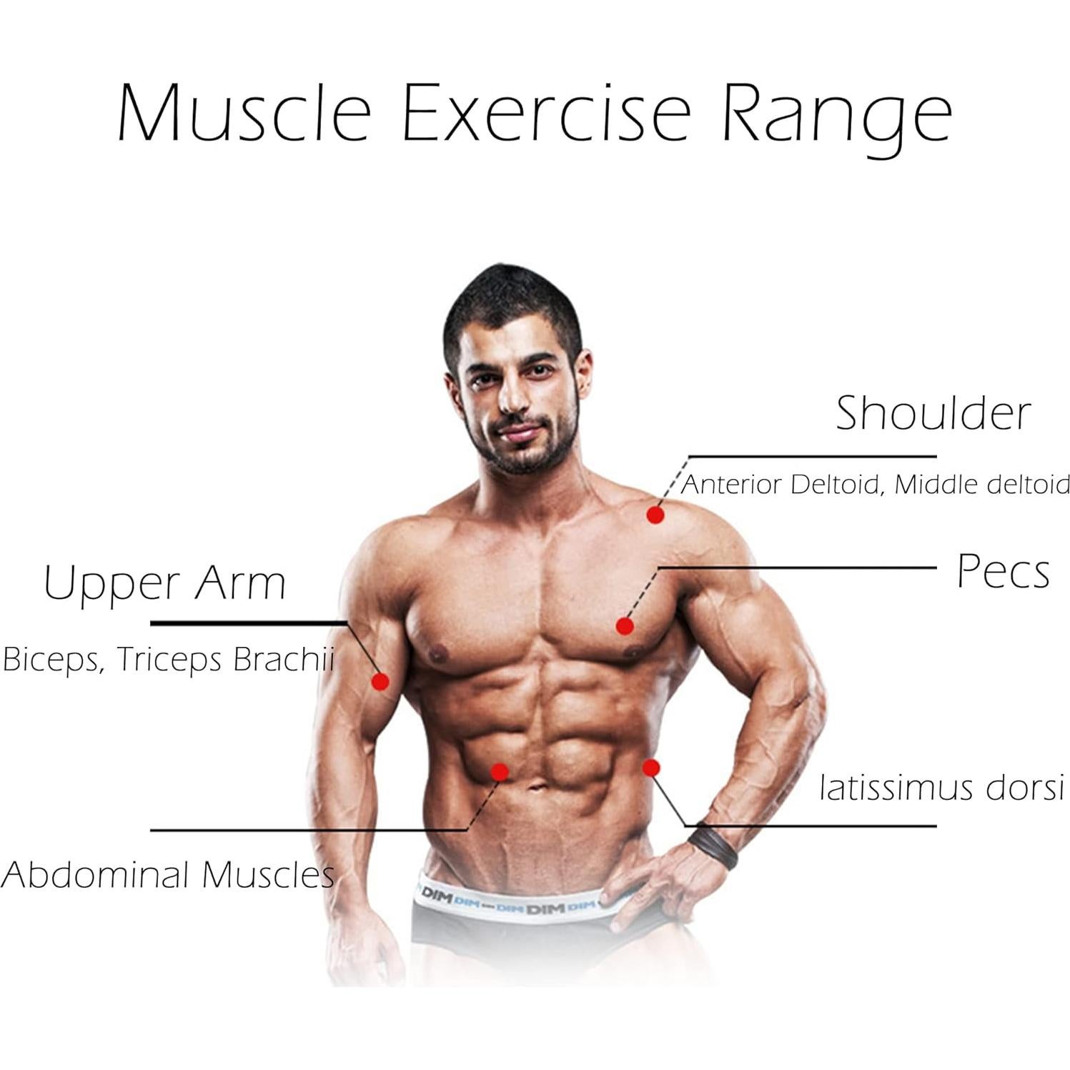 Rueda de Abdominales A.F.N.A.L con Resorte y Almohadilla