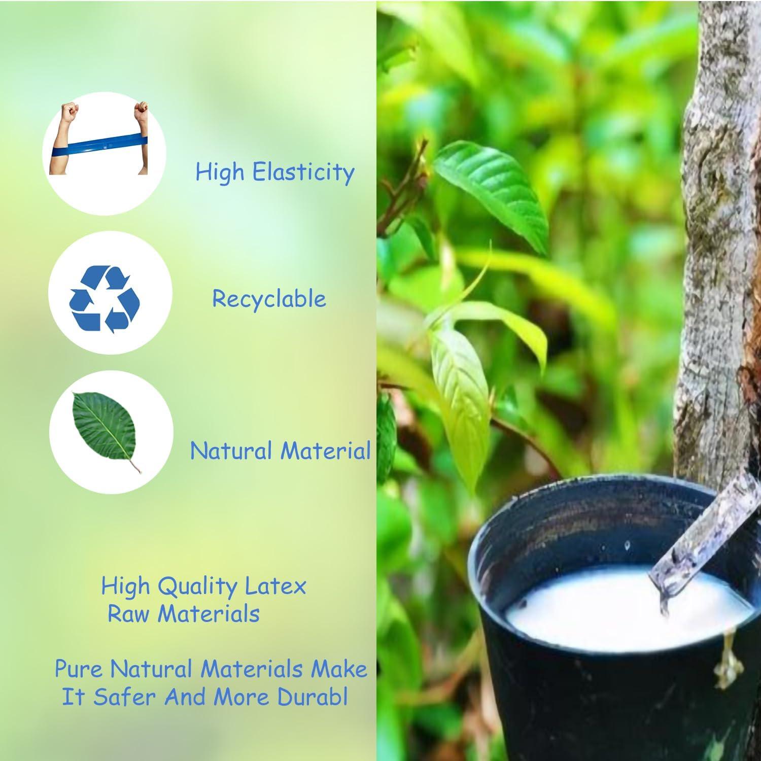 Set de 5 Bandas de Resistencia ZanXinY para Ejercicio y Terapia