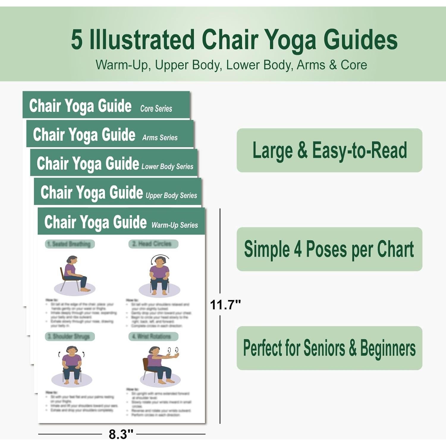 Póster de Yoga en Silla Zondashin - 5 Guías Ilustradas y 5 Desafíos