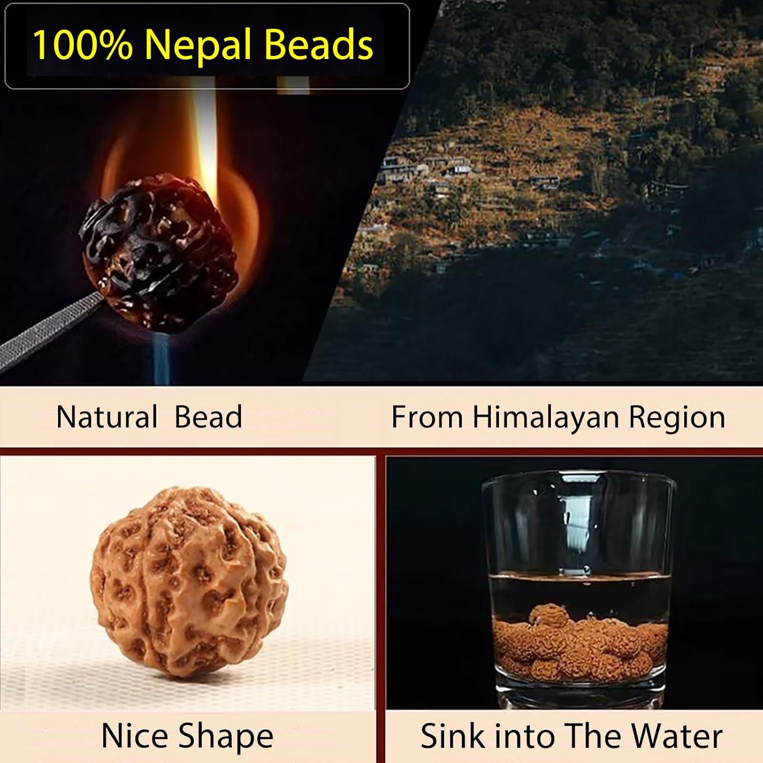 Collar de Oración Rudraksha 16mm 108 Cuentas Hyoquilex