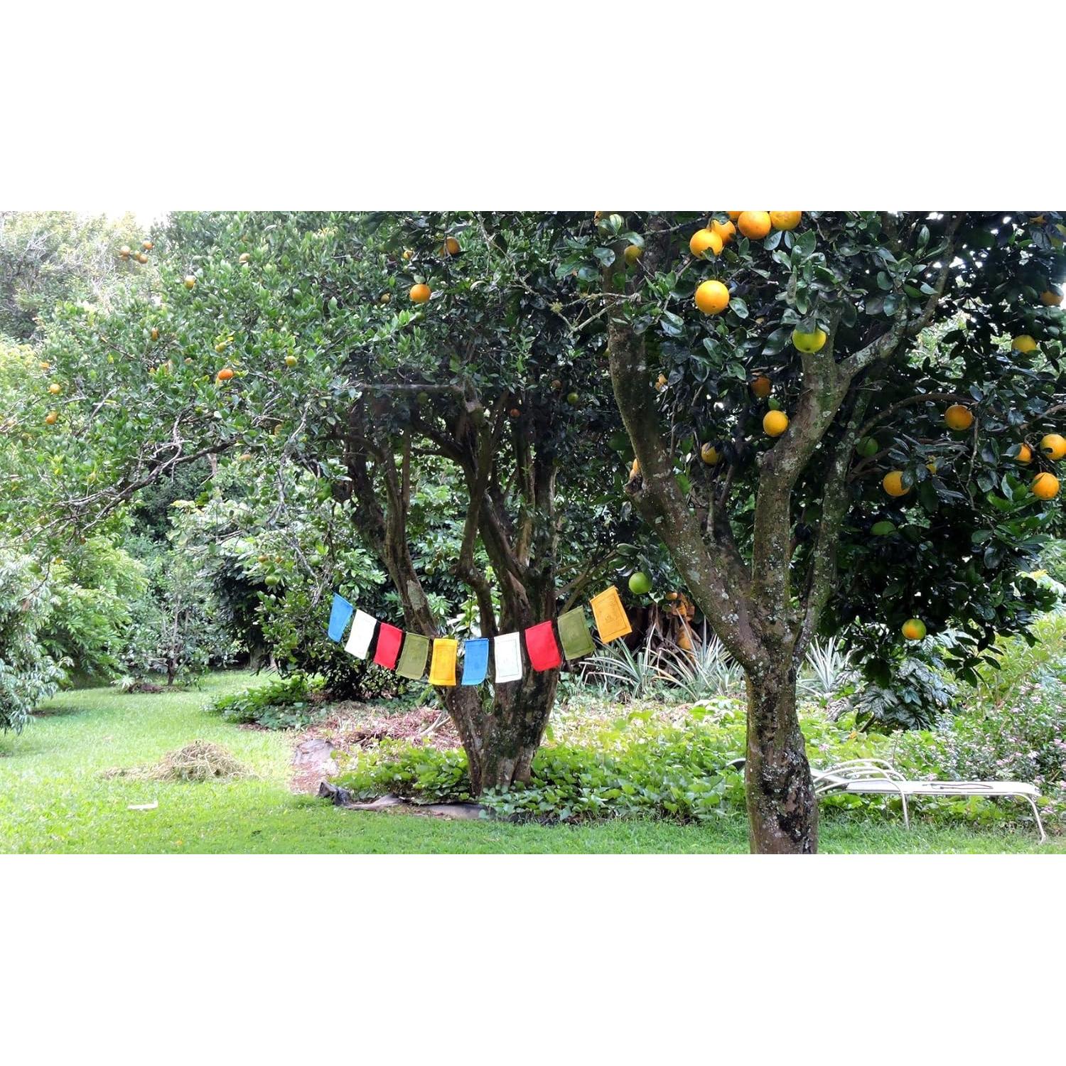 Banderas de Oración Buda de Medicina Algodón Hechas a Mano 22x30 cm