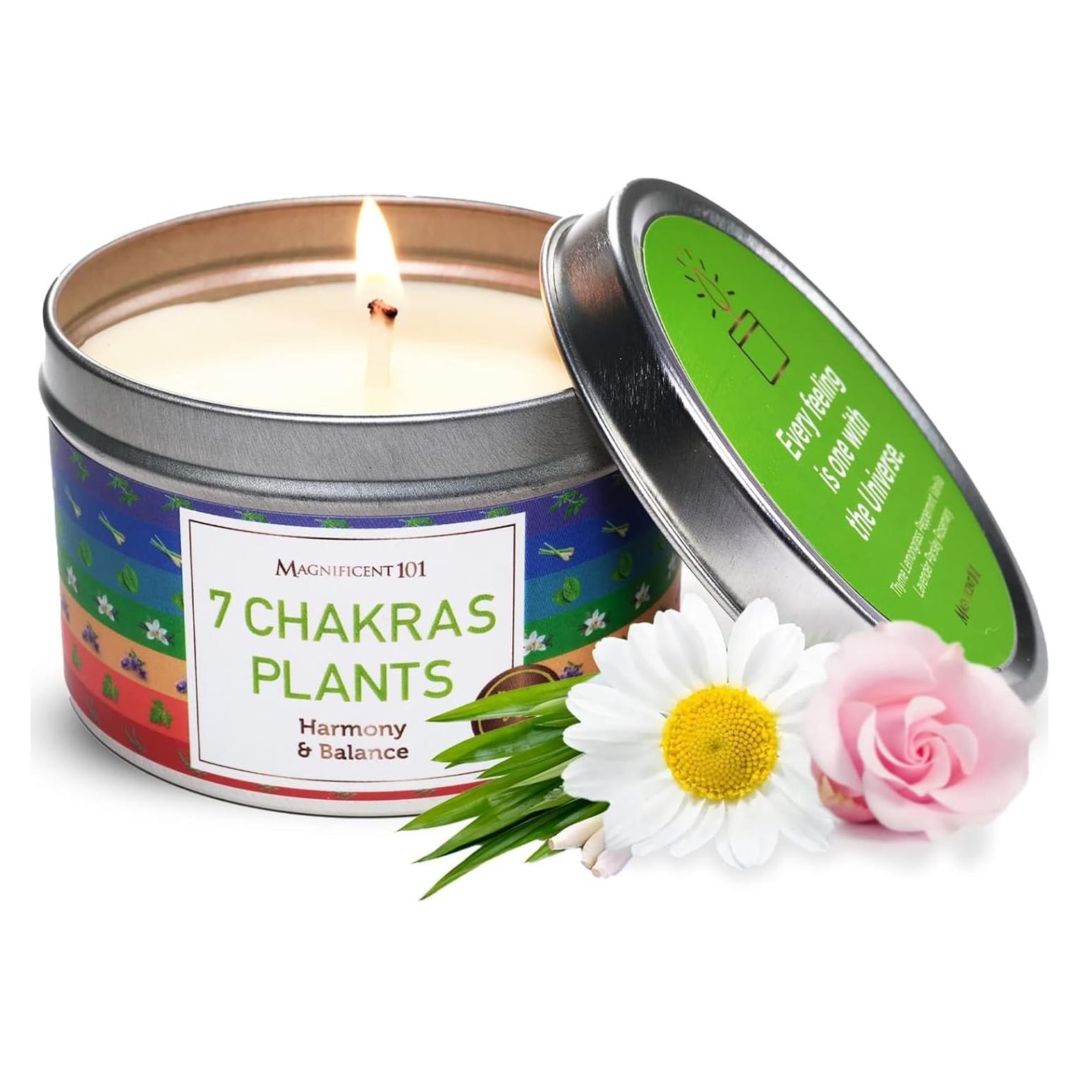 Vela Aromaterapia Magnífico 101 170g Cera de Soja 35h Chakras