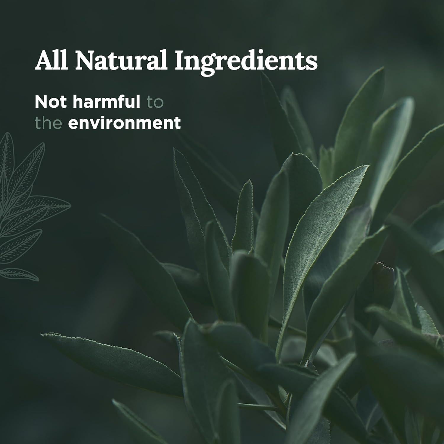 Vela de Aromaterapia Salvia Pura Magnífico 101 397g Cera Soja