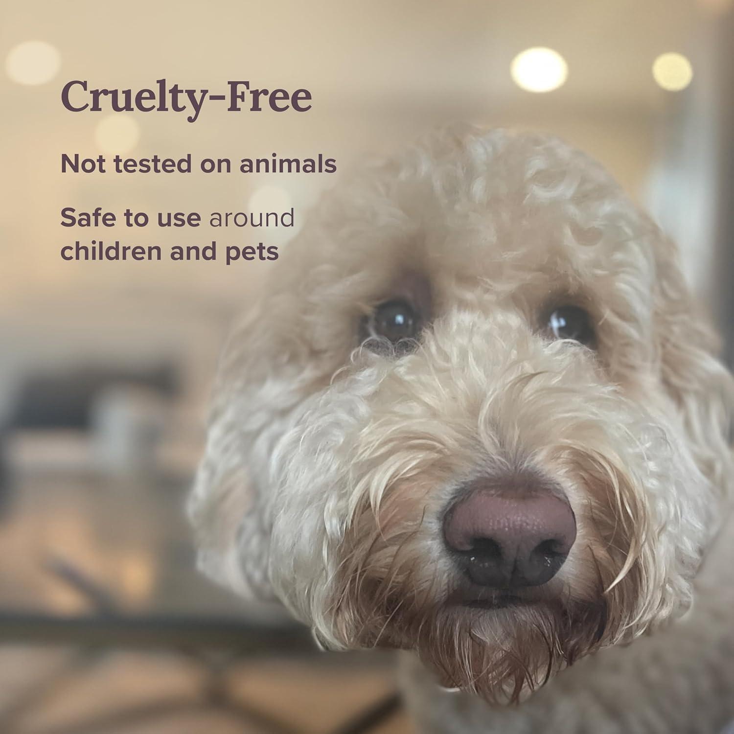 Vela de Aromaterapia Salvia Pura Magnífico 101 397g Cera Soja