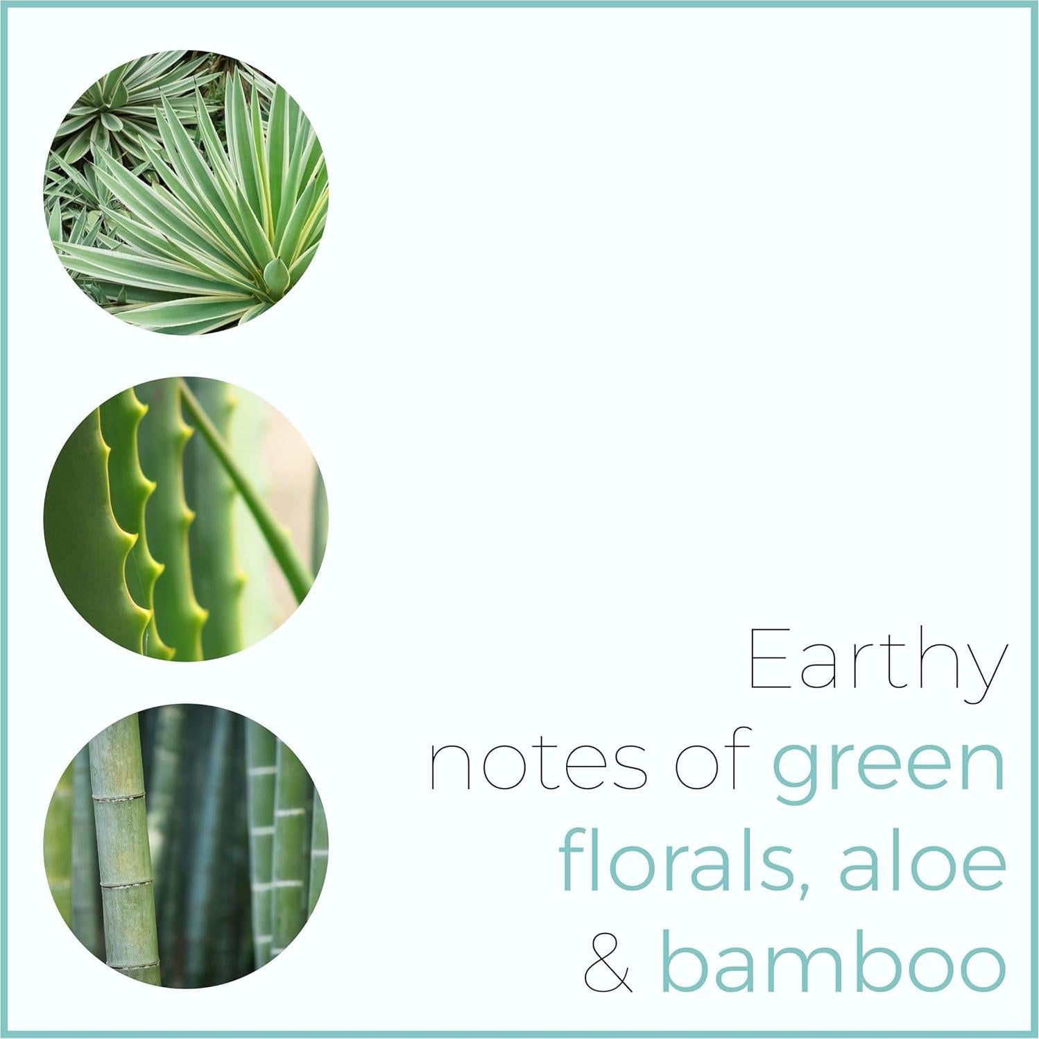 Vela Aromática Lilly & Vine Equilibrio 190g - Aloe y Bambú