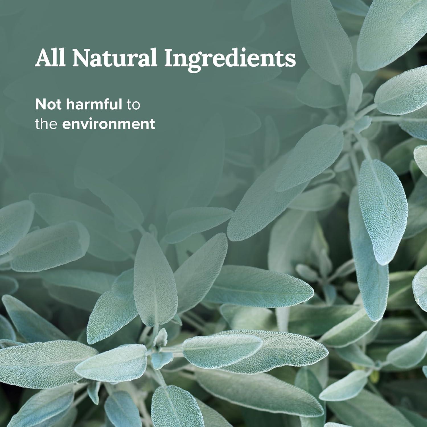 Vela de Salvia Blanca Pura Magnífico 101 - 170 g - 35 Horas