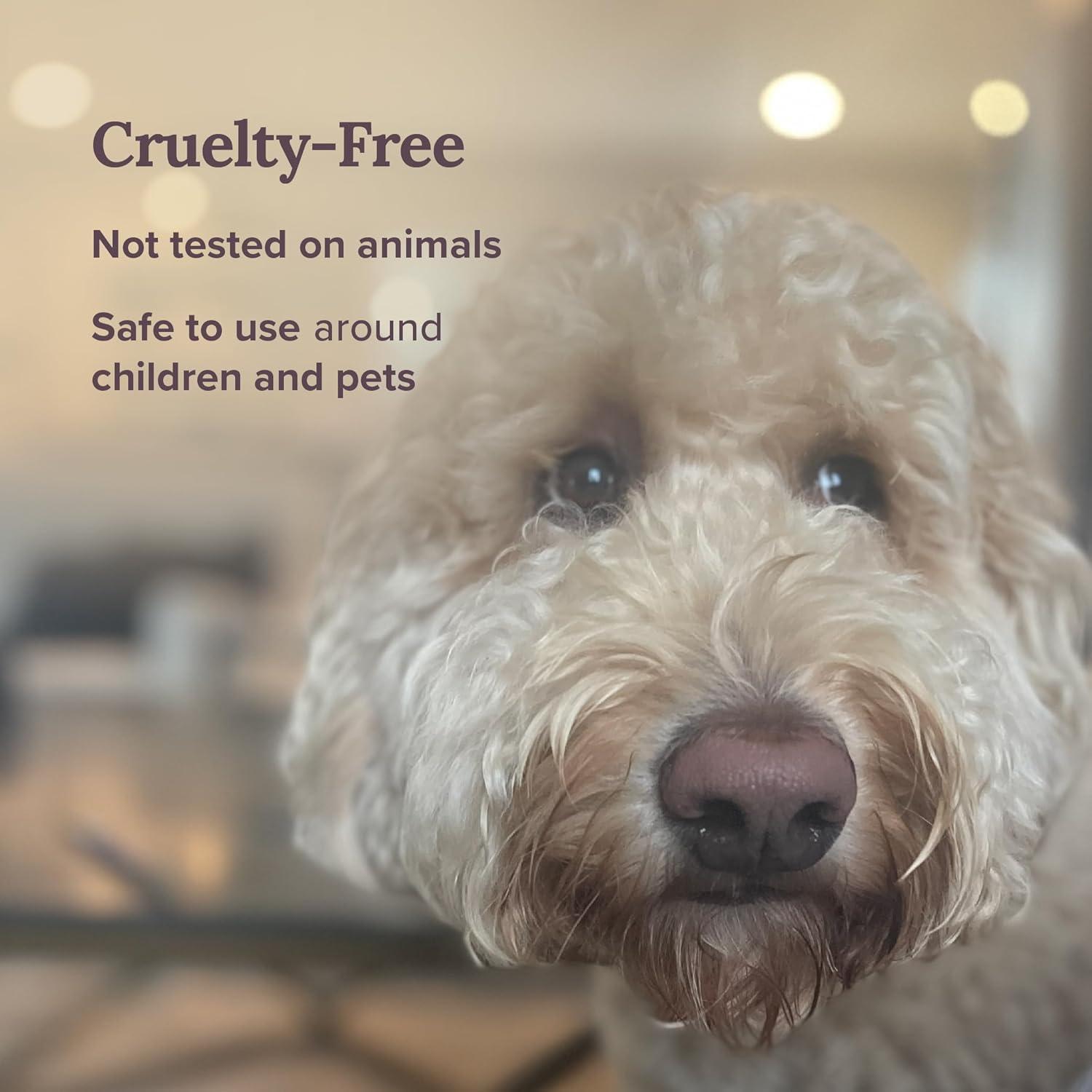 Vela de Salvia Blanca Pura Magnífico 101 - 170 g - 35 Horas