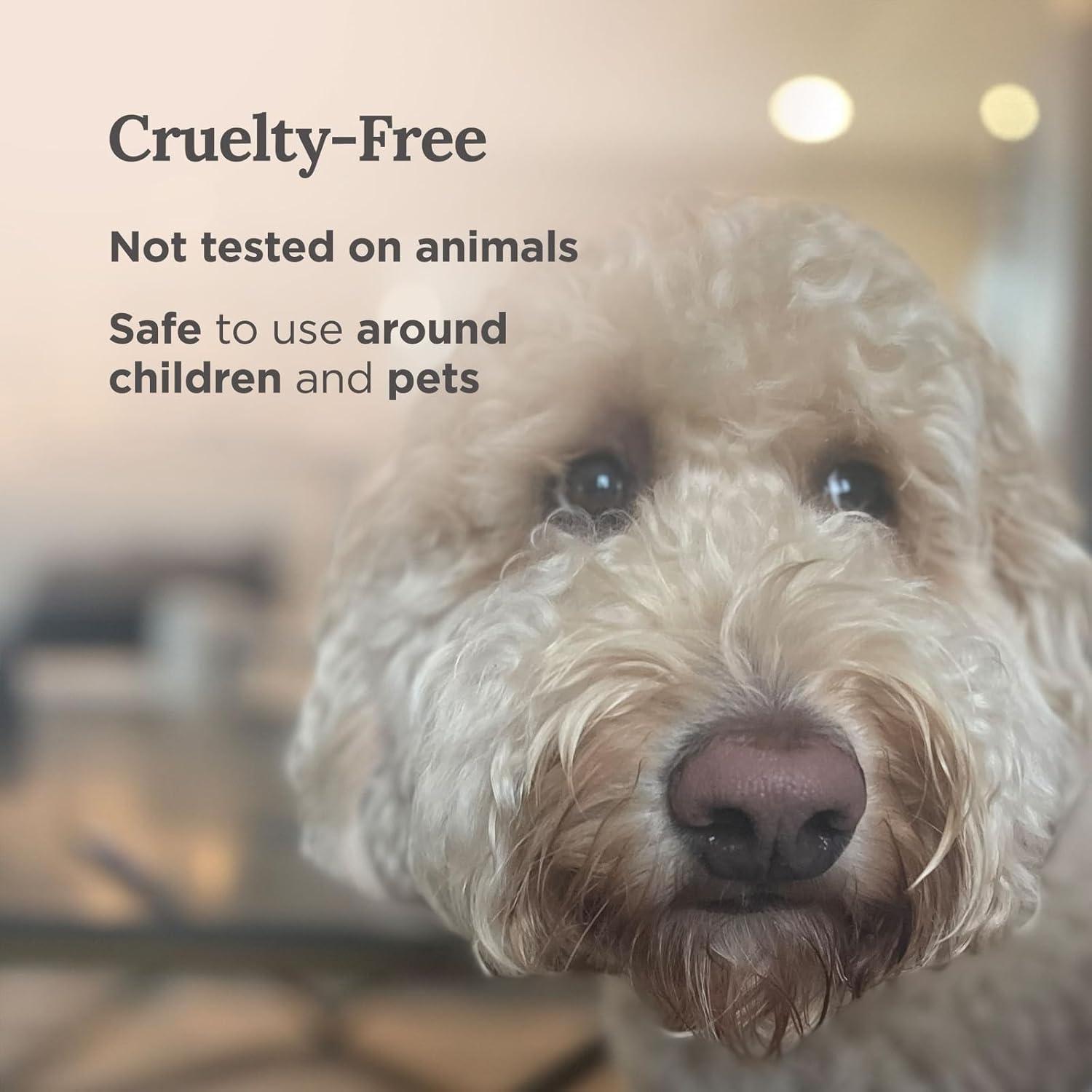 Set de 3 Velas Aromáticas de Salvia Pura Magnífico 101 - 42 Horas