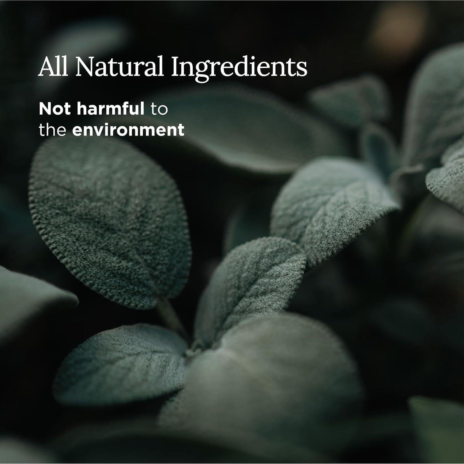 Vela de Salvia Pura Magnífico 101 - 170 g - 35 Horas de Quema