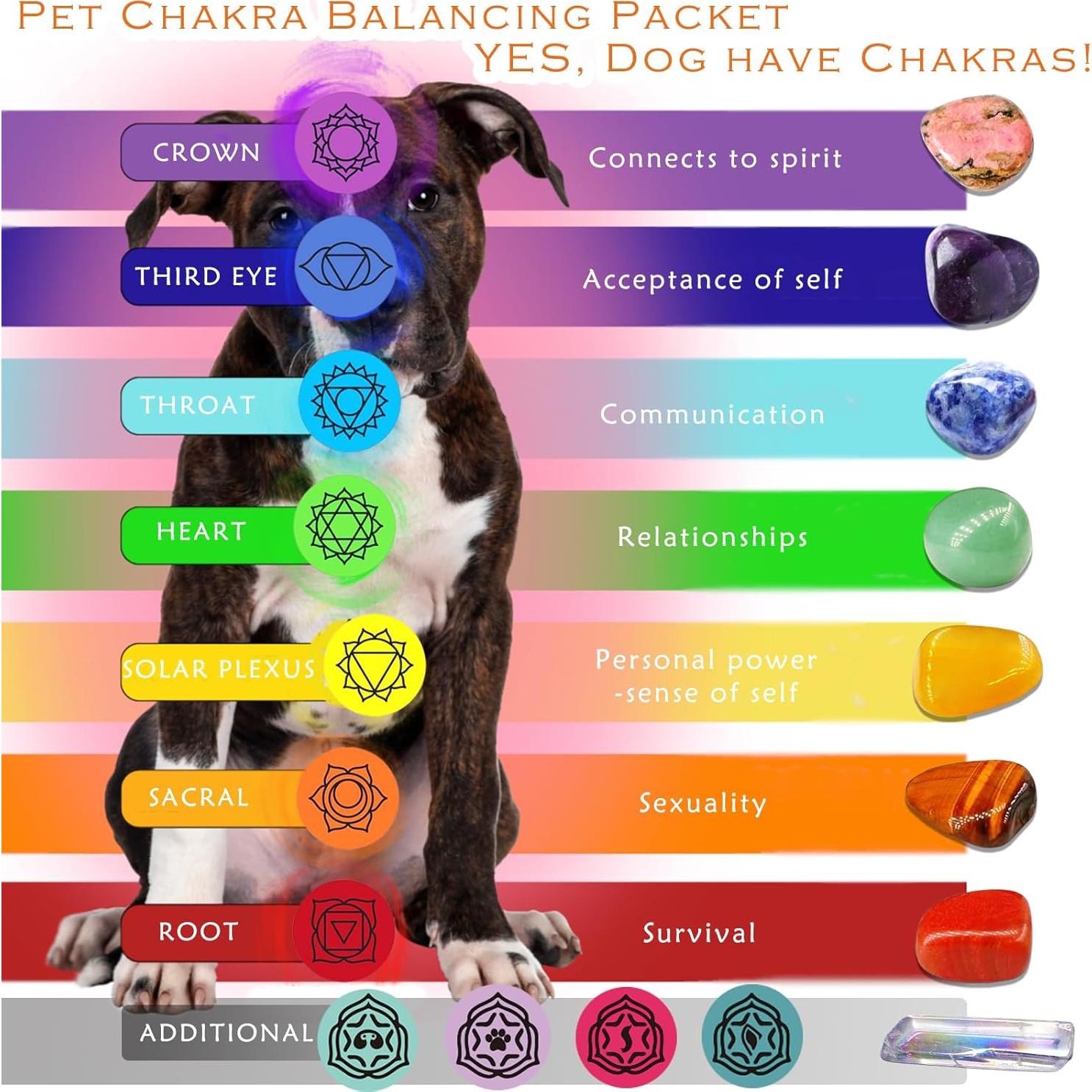 Tablero de Sanación de Chakras para Perros PapaLegba 20x30cm